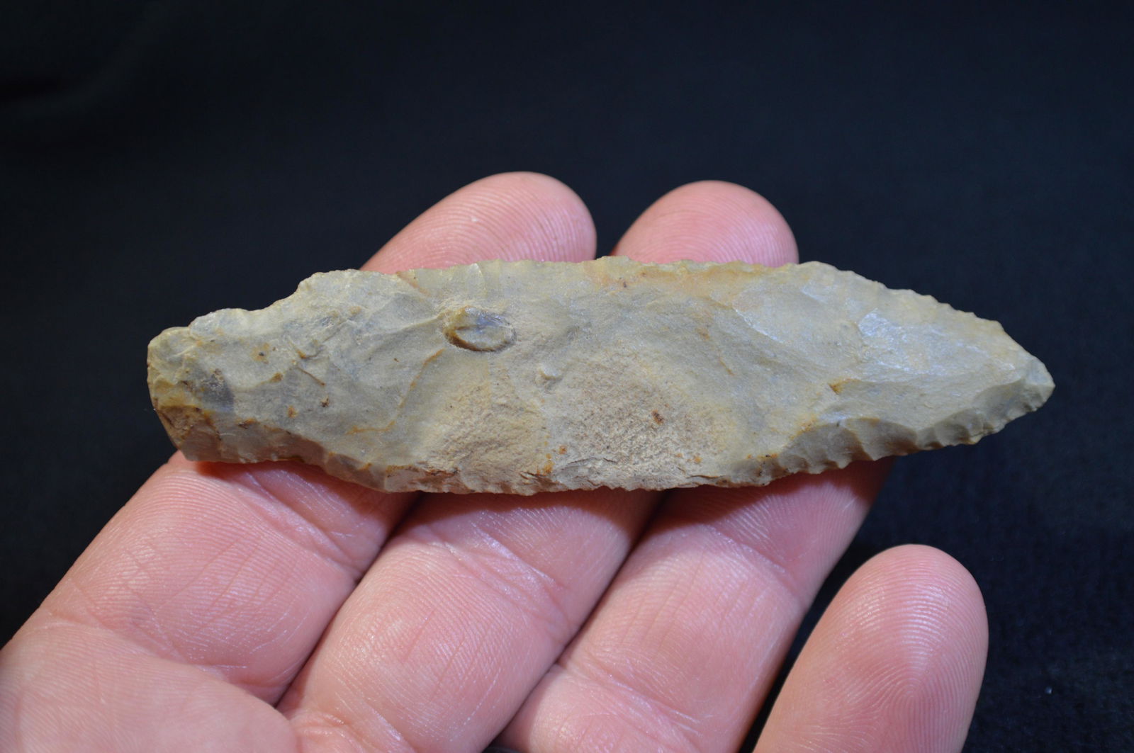 3 11/16 " Little Bear Creek Found in Pulaski Co. IL by (1 of 4)