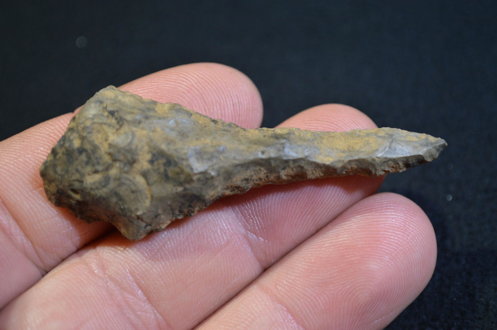 2 1/2 " Paddle Drill Found in Union Co. KY by Marvin (1 of 4)