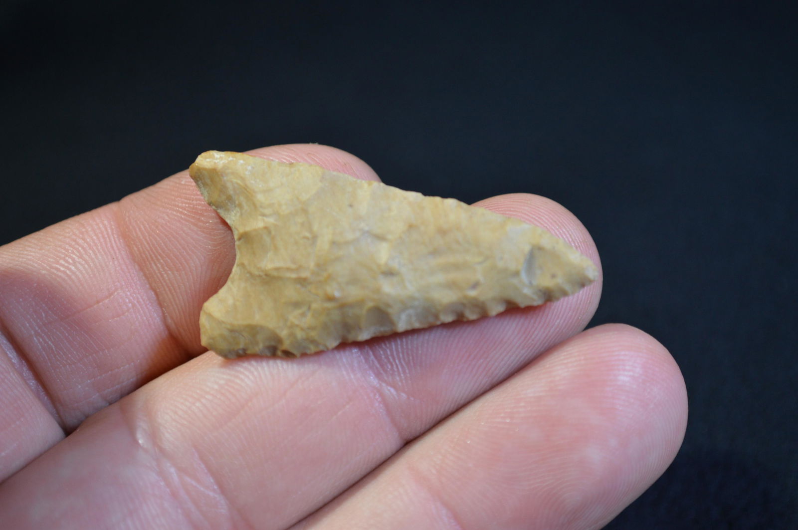 1 3/4 " Dalton Found in Pulaski Co. IL by Tom and (1 of 4)