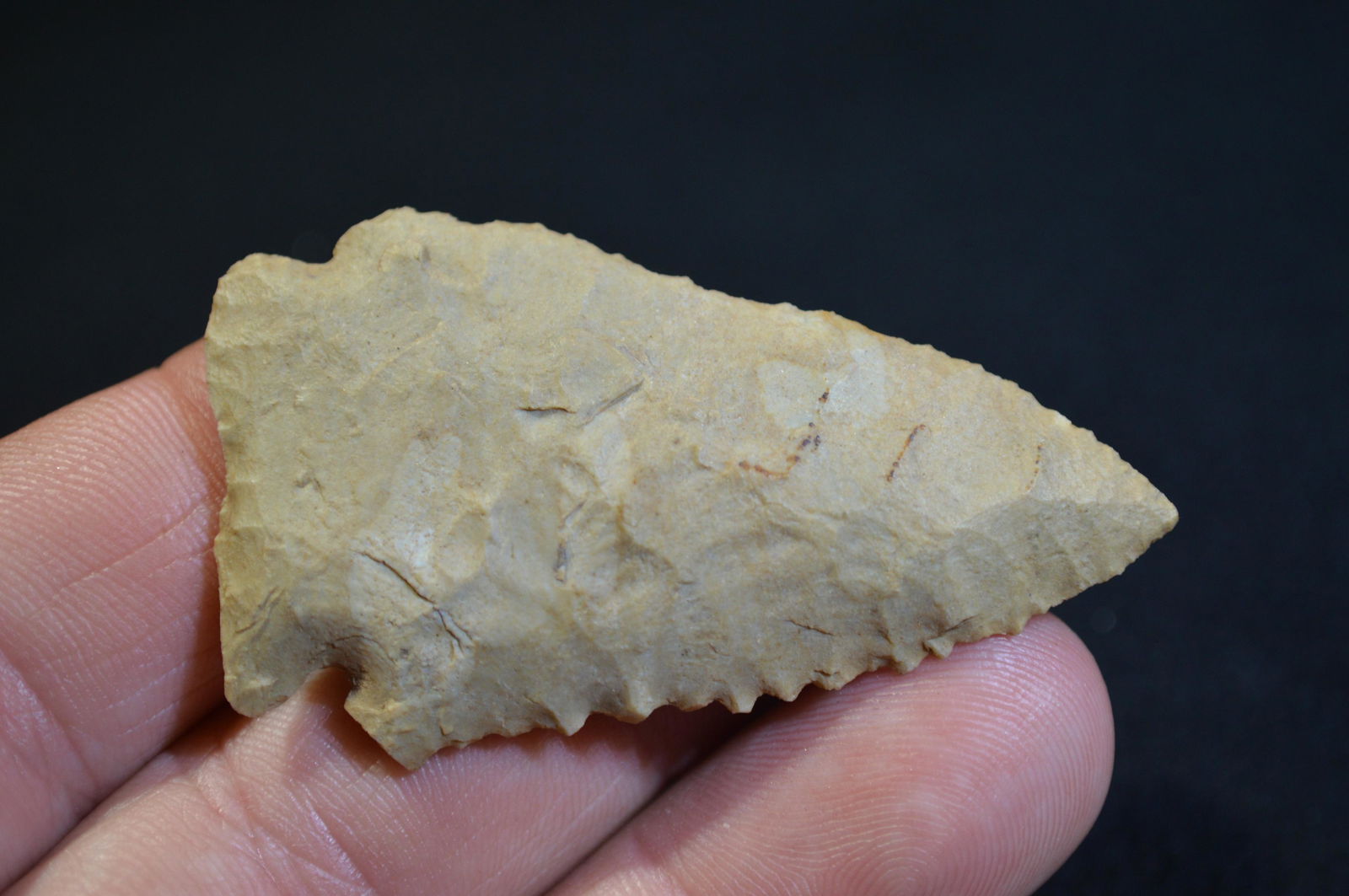 2 3/8 " Meadowood Found in Pulaski Co. IL by Tom and (1 of 4)