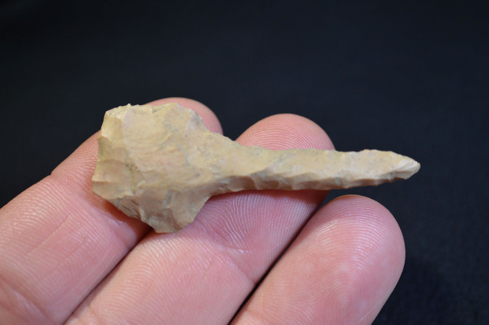 2 3/16 " Paddle Drill Found in Union Co. KY by Marvin (1 of 4)