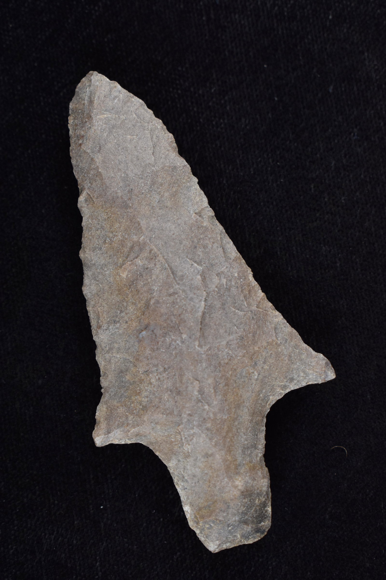 2 7/8" GARY FOUND IN BENTON/HUMPHREYS COUNTY TENNESSEE,: 2 7/8" GARY FOUND IN BENTON/HUMPHREYS COUNTY TENNESSEE, EX SIMMS COLLECTION, NATIVE AMERICAN INDIAN ARROWHEAD, ARTIFACT