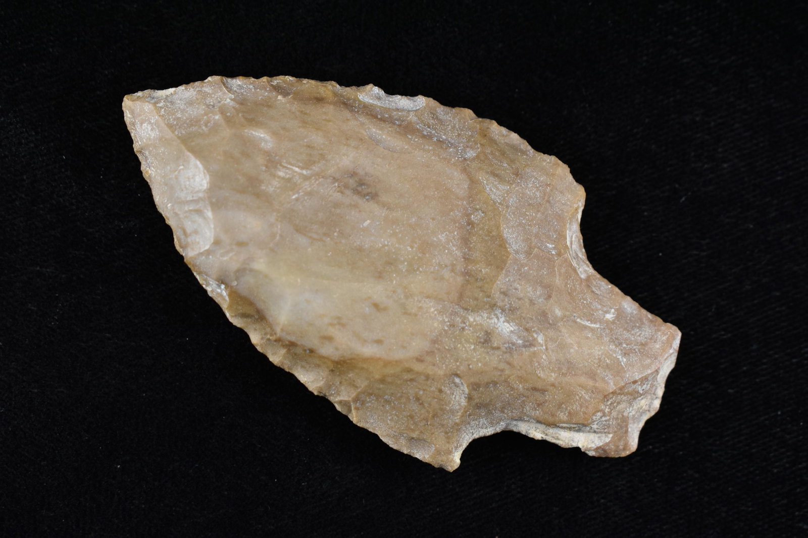 2 3/4" LIMESTONE FOUND IN BENTON/HUMPHREYS COUNTY: 2 3/4" LIMESTONE FOUND IN BENTON/HUMPHREYS COUNTY TENNESSEE, EX SIMMS COLLECTION, NATIVE AMERICAN INDIAN ARROWHEAD, ARTIFACT