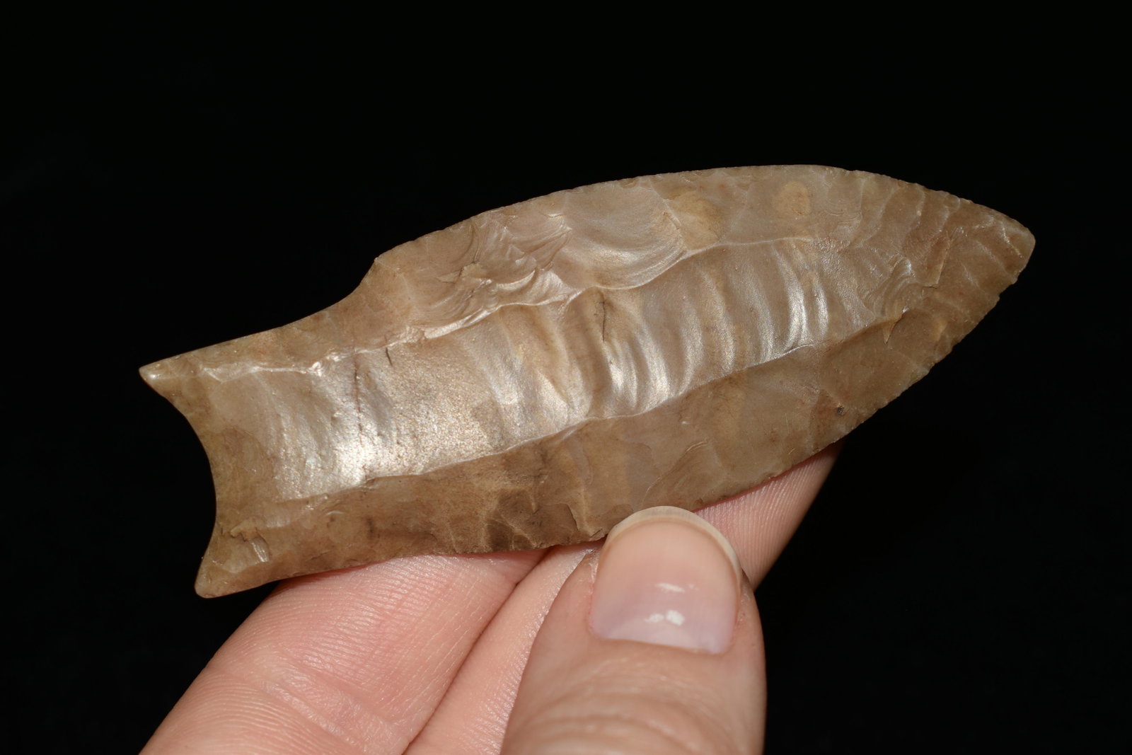 3 1/8" Hollan Dalton Point, Reproduction, Great Study: 3 1/8" Hollan Dalton Point, Reproduction, Great Study Relic