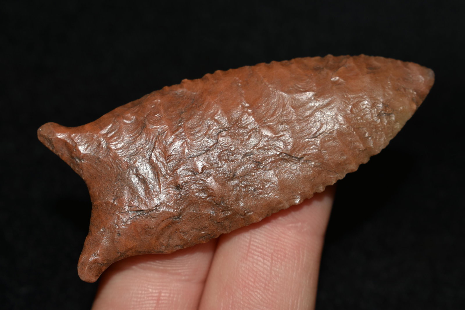 2 1/2" Dalton Point, Reproduction, Great Study Relic: 2 1/2" Dalton Point, Reproduction, Great Study Relic