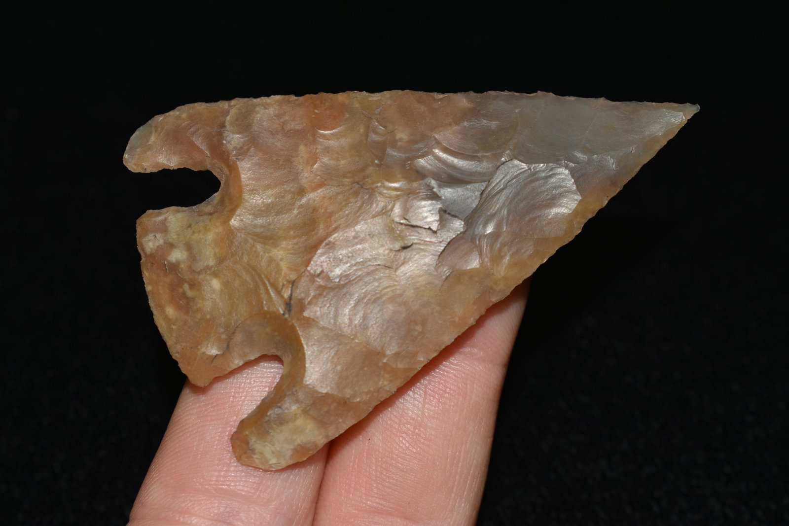 2 1/2" Mellville Point, Reproduction, Great Study Relic: 2 1/2" Mellville Point, Reproduction, Great Study Relic