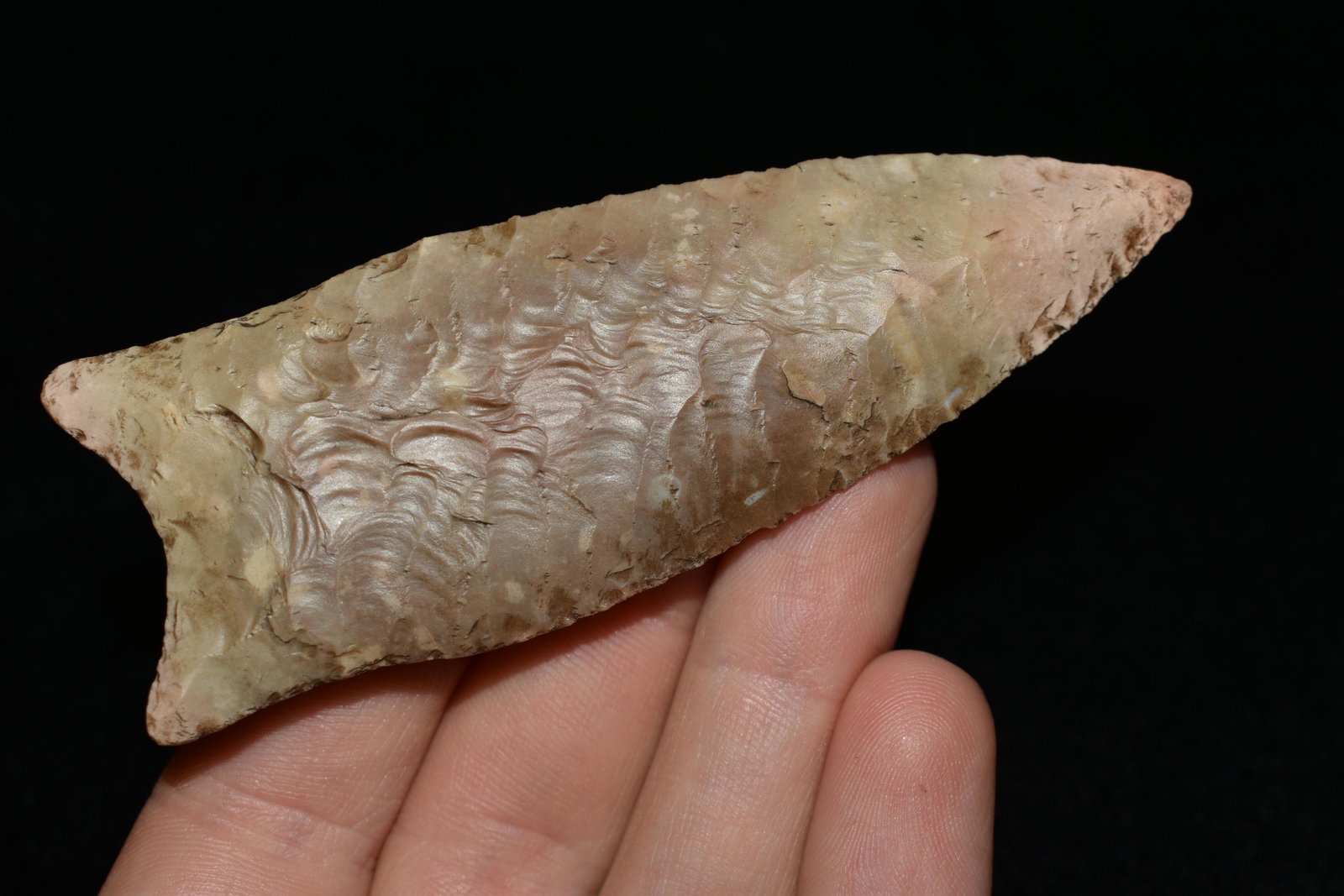 3 5/8" Dalton Point, Reproduction, Great Study Relic: 3 5/8" Dalton Point, Reproduction, Great Study Relic