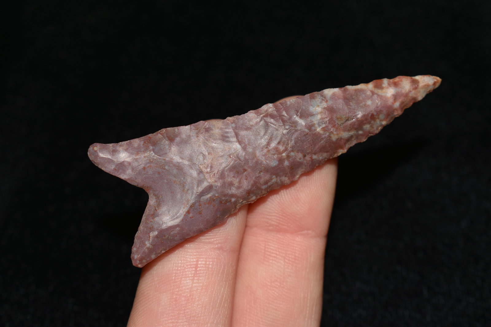 2 1/2" Dalton Point, Reproduction, Great Study Relic: 2 1/2" Dalton Point, Reproduction, Great Study Relic