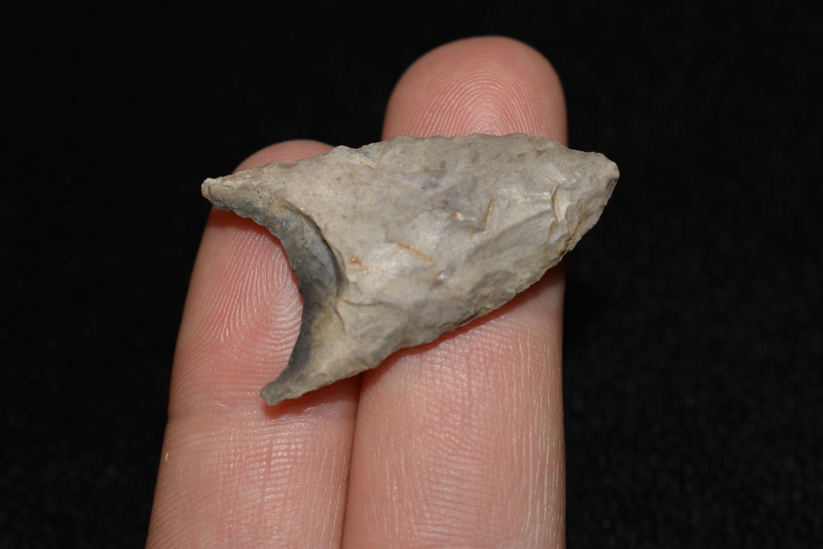 2 1/4" Dalton, Reproduction, Great Study Relic: 2 1/4" Dalton, Reproduction, Great Study Relic
