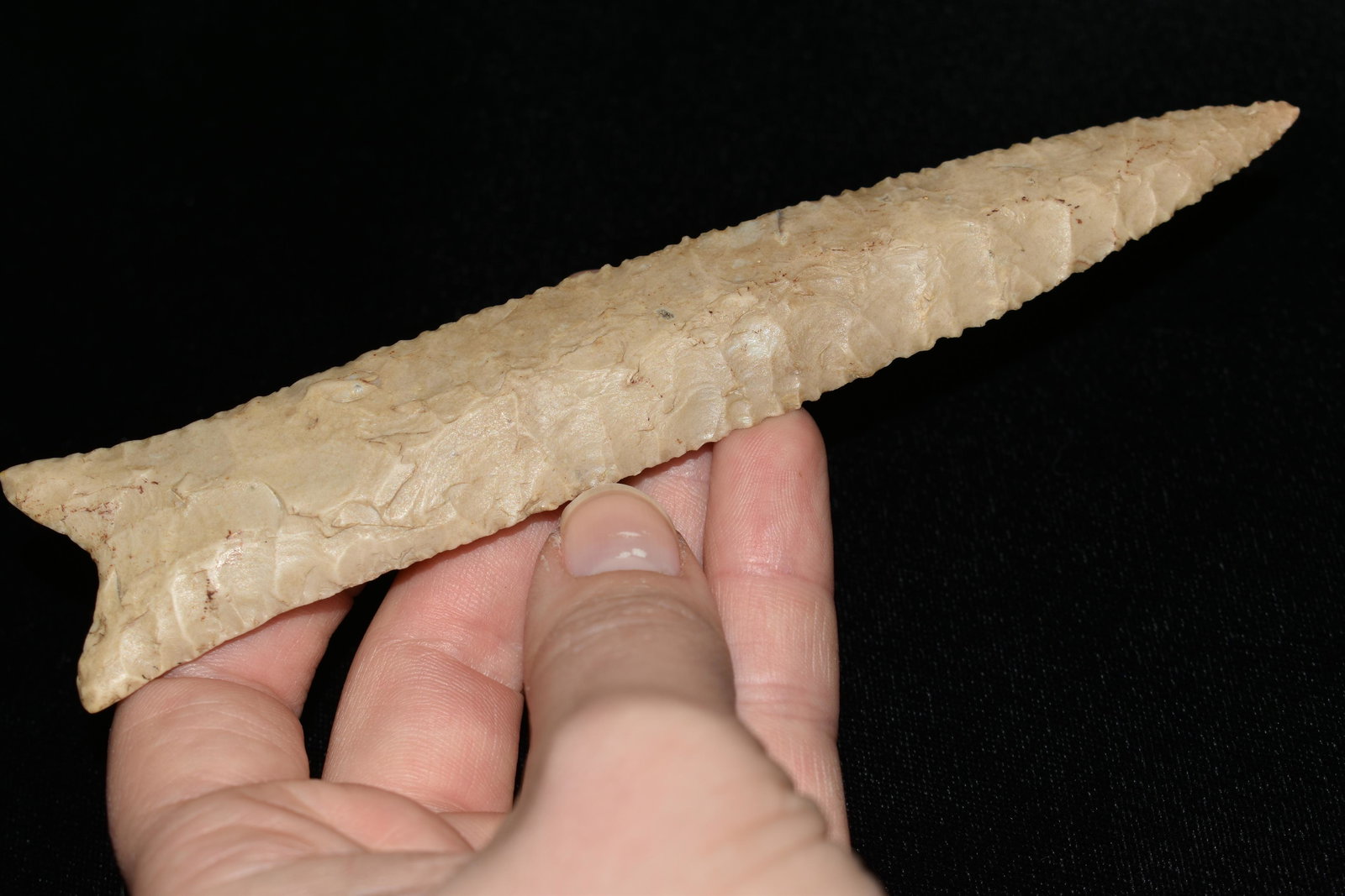 6 1/8" Dalton, Reproduction, Great Study Relic: 6 1/8" Dalton, Reproduction, Great Study Relic