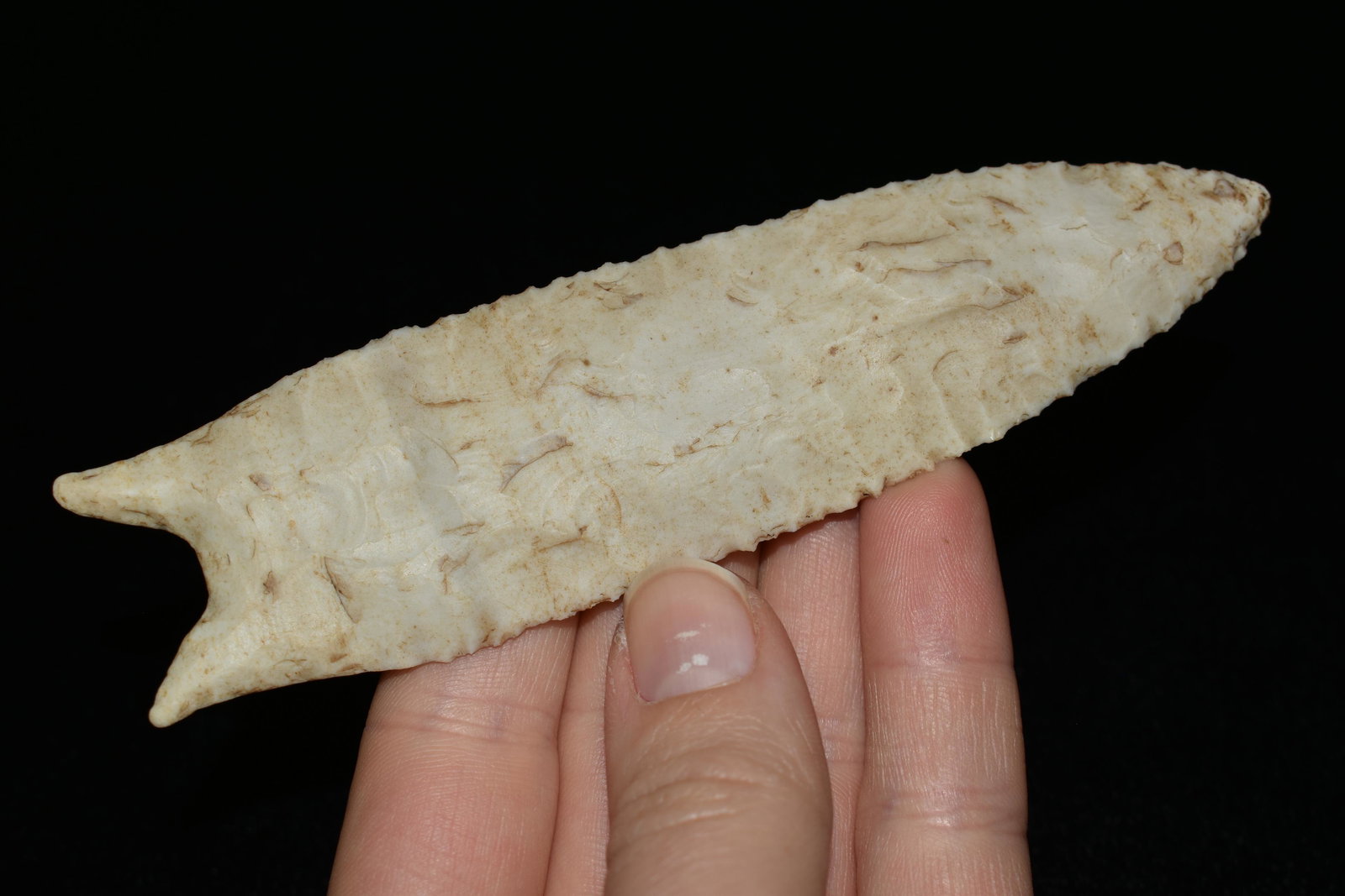 5" Dalton, Reproduction, Great Study Relic: 5" Dalton, Reproduction, Great Study Relic