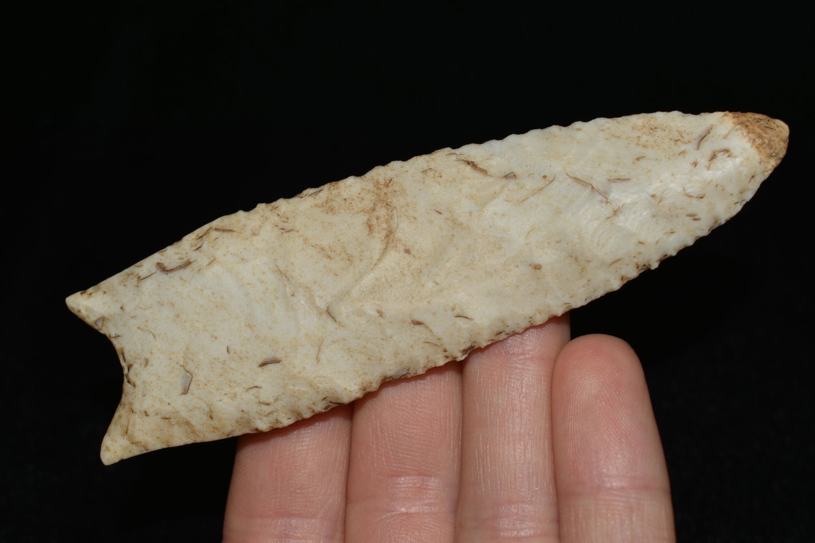4 1/4" Dalton, Reproduction, Great Study Relic: 4 1/4" Dalton, Reproduction, Great Study Relic