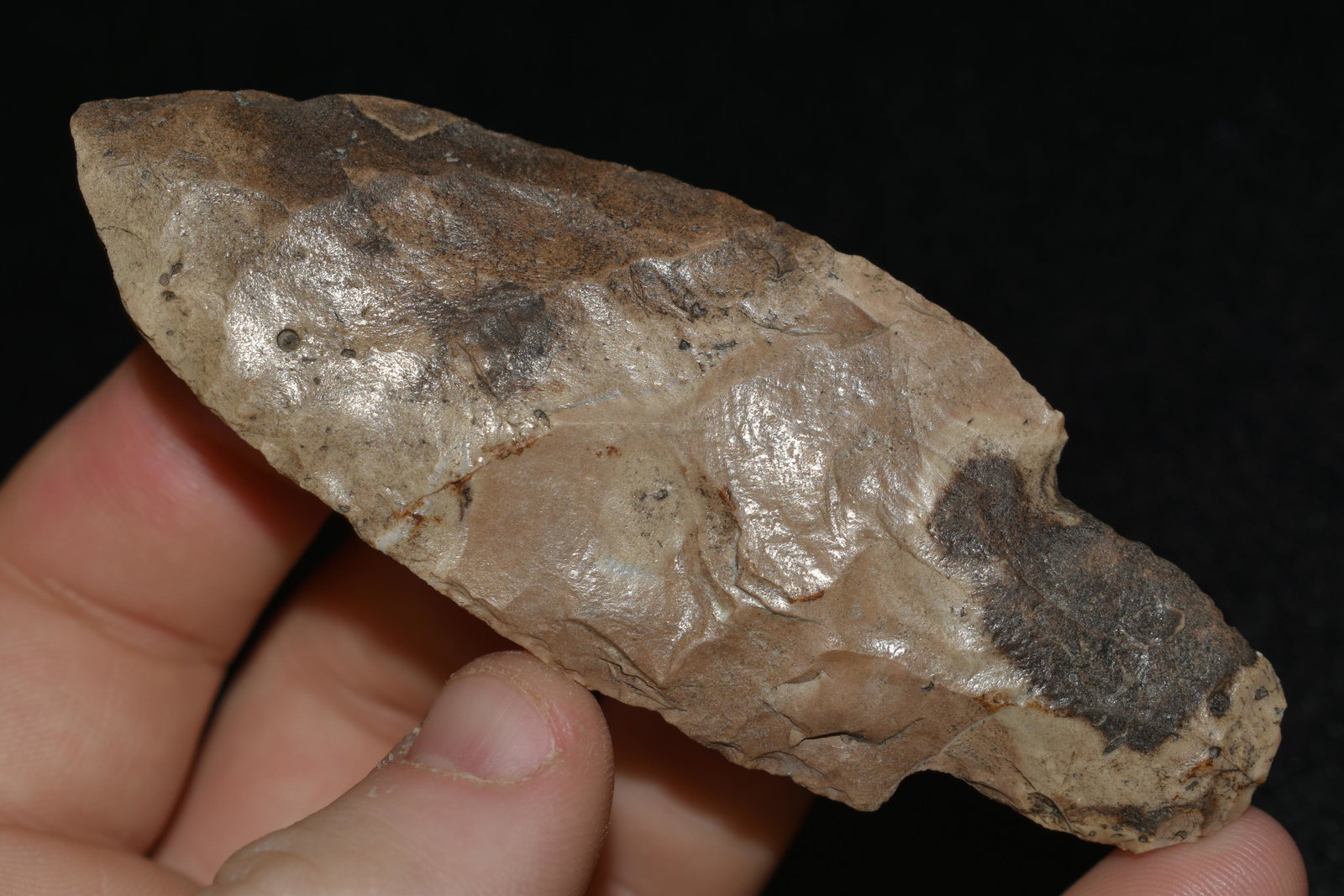 3 5/8" Adena, Native American Artifact (1 of 4)