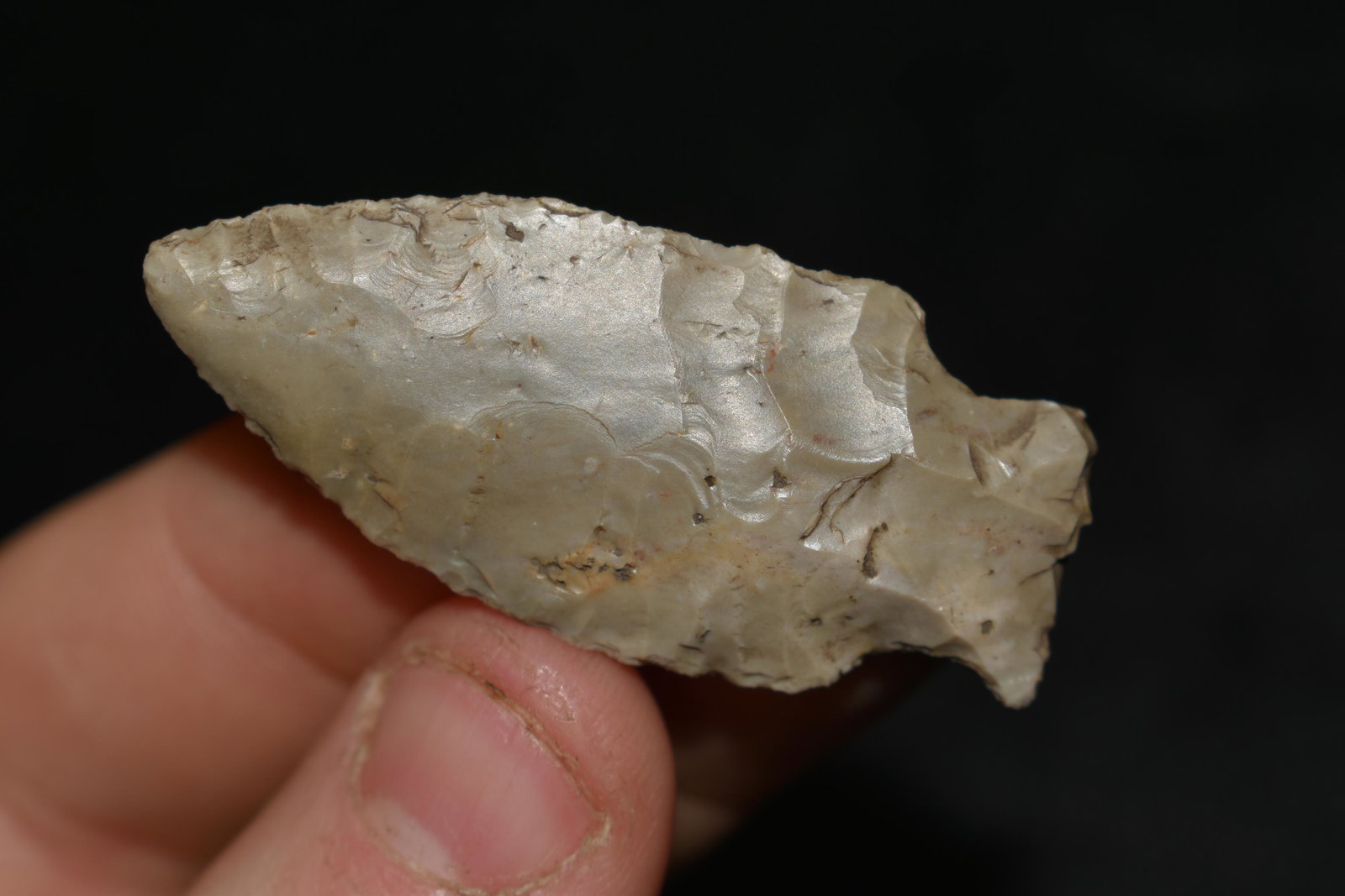 1 3/4" Table Rock, Found By Grant Gaines in Columbia (1 of 4)