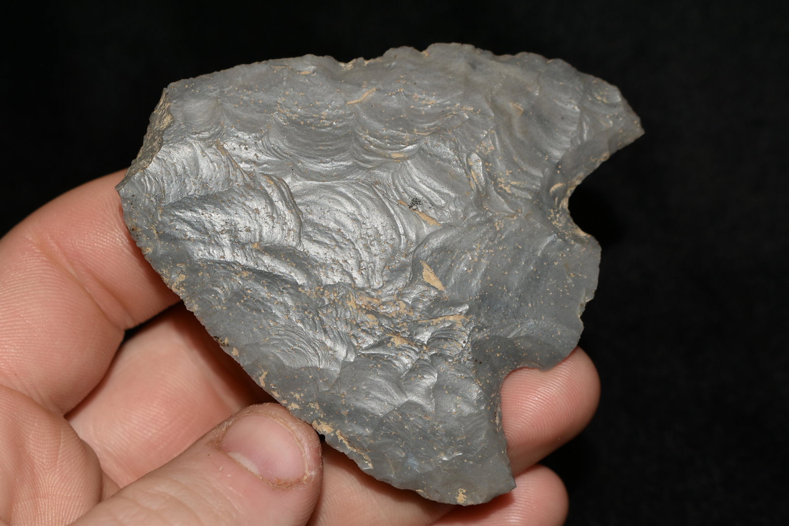 2 1/2" Snyders Point, Central IL, (1 of 5)