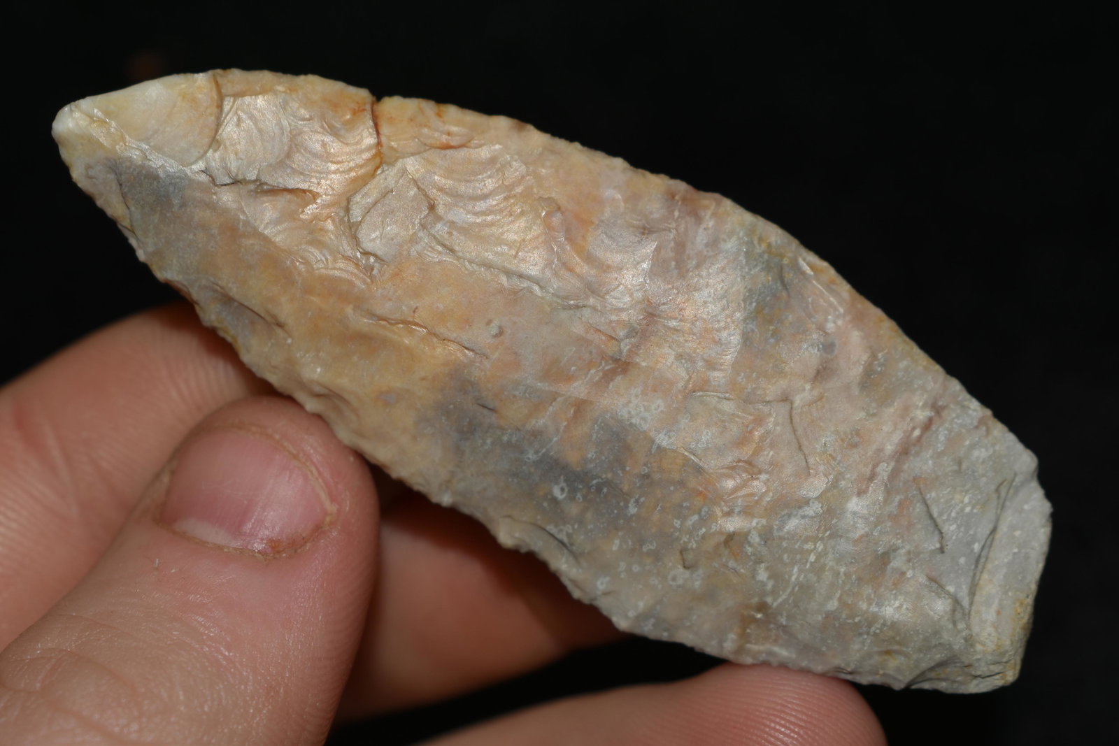 2 7/8" Angostura Point, Native American Artifacts (1 of 4)
