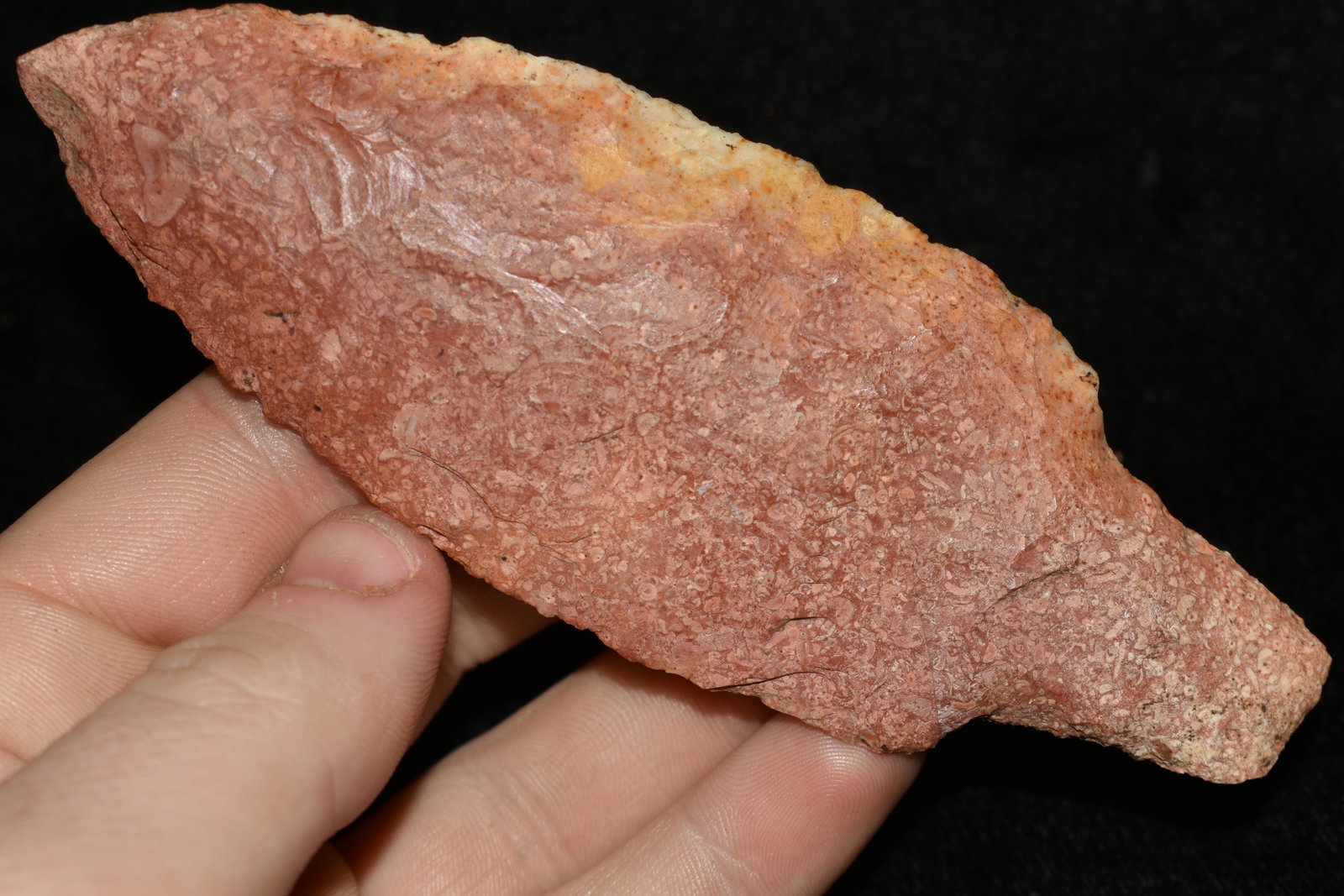 4 7/8" Colorful Adena Point, Madison Co. IL, Native (1 of 7)