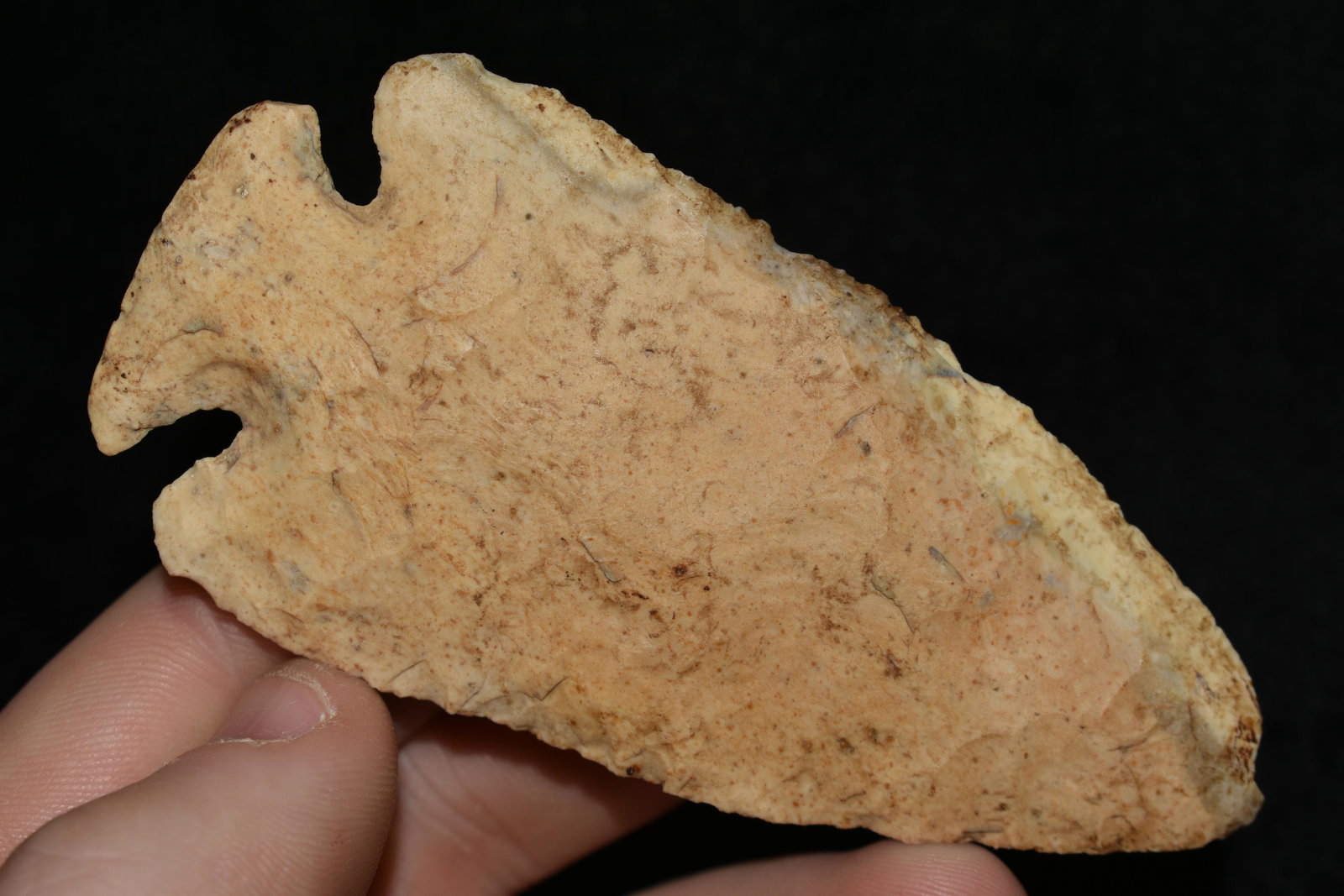 3 11/16" Dovetail, Motley COA, Boone Co. MO, Native (1 of 6)