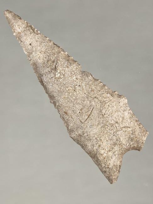 2 3/4" DALTON FOUND IN PIKE COUNTY ILINOIS, INDIAN: 2 3/4" DALTON FOUND IN PIKE COUNTY ILINOIS, INDIAN ARROWHEAD ARTIFACT