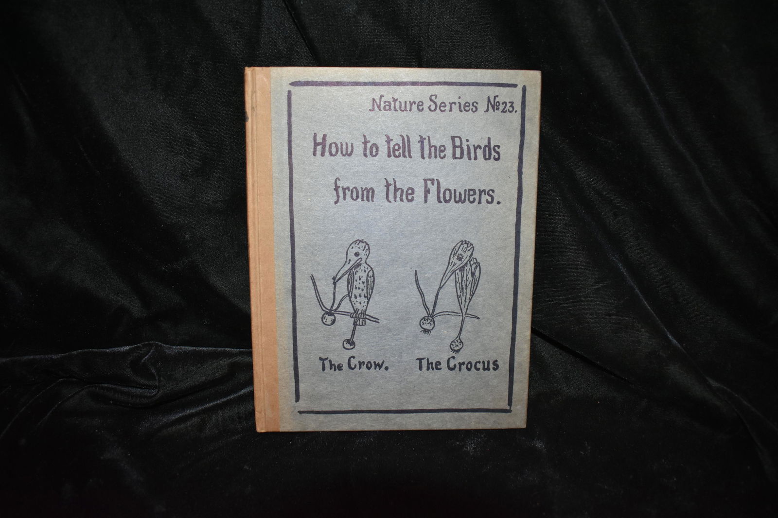 1907 How To Tell The Birds From The Flowers 1st Ed: How To Tell The Birds From The Flowers, A Manual of Flornithology For Beginners. Nature Series No.23. by Robert Williams Wood. Published by Paul Elder & Company (1907). 1st Edition. Very Good conditio