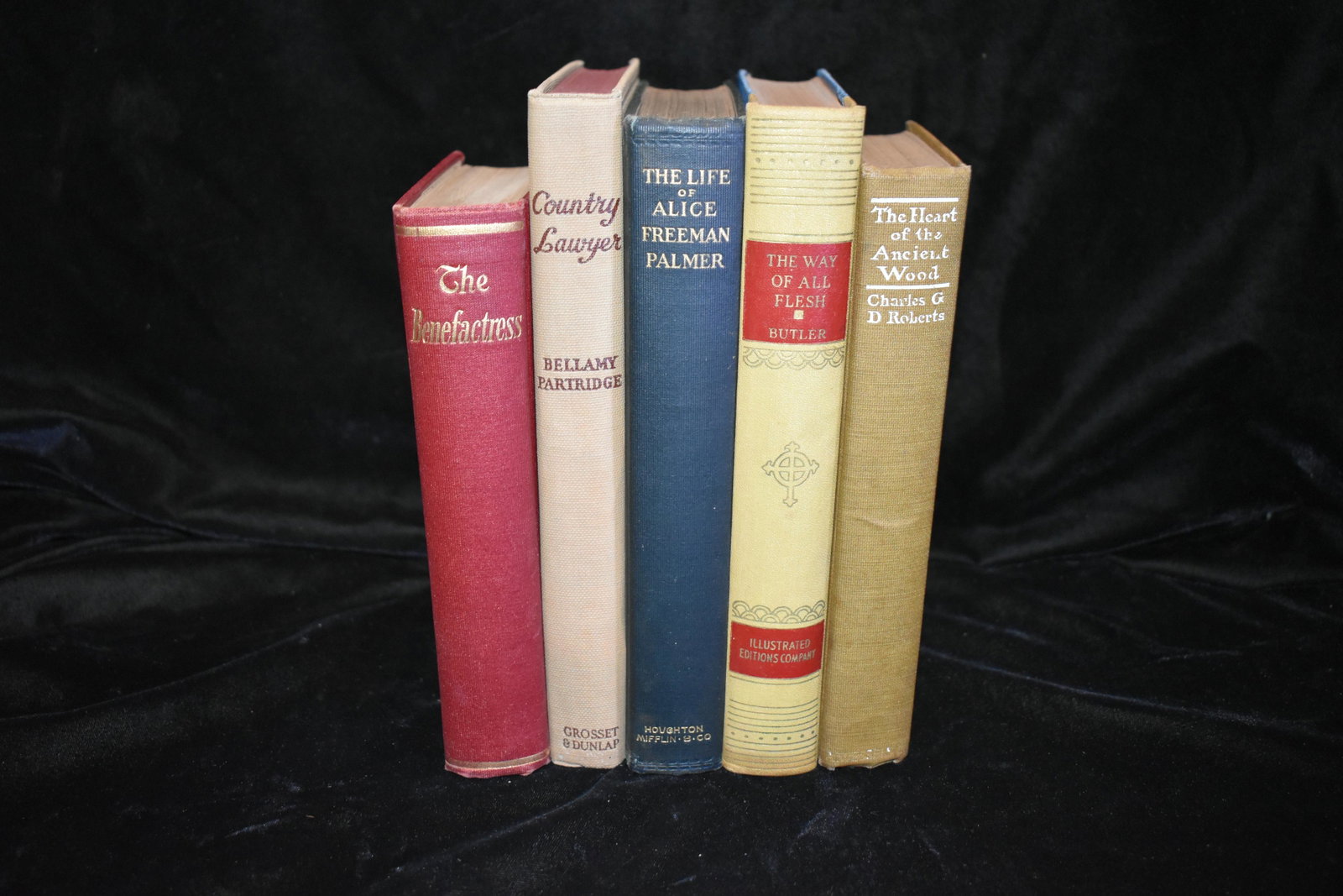 5 Antique Early 1900's Books: Country Lawyer The Story of My Father by Bellamy Partridge 1939 Excellent condition.; The Way of All Flesh by Samuel Butler 1935. Excellent condition with dust cover.; The life of Alice Freeman Palmer