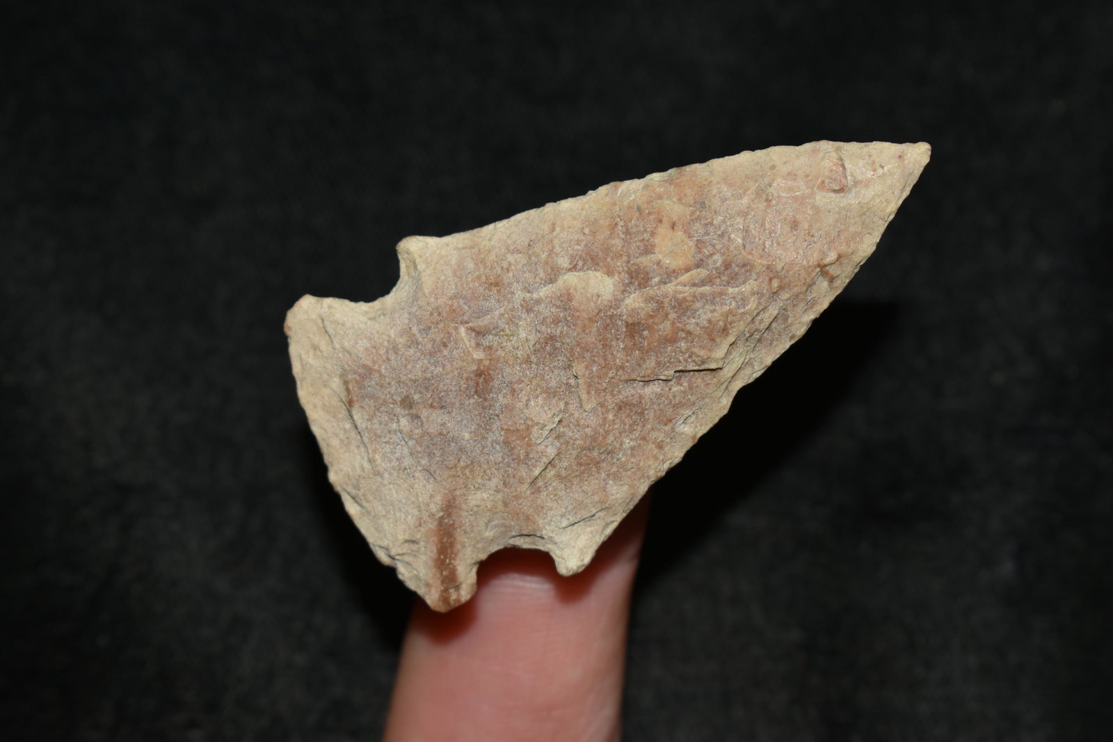 2 1/8" Gibson, Found by TJ Hilgenbrink, Adams Co. IL: 2 1/8" Gibson, Found by TJ Hilgenbrink, Adams Co. IL