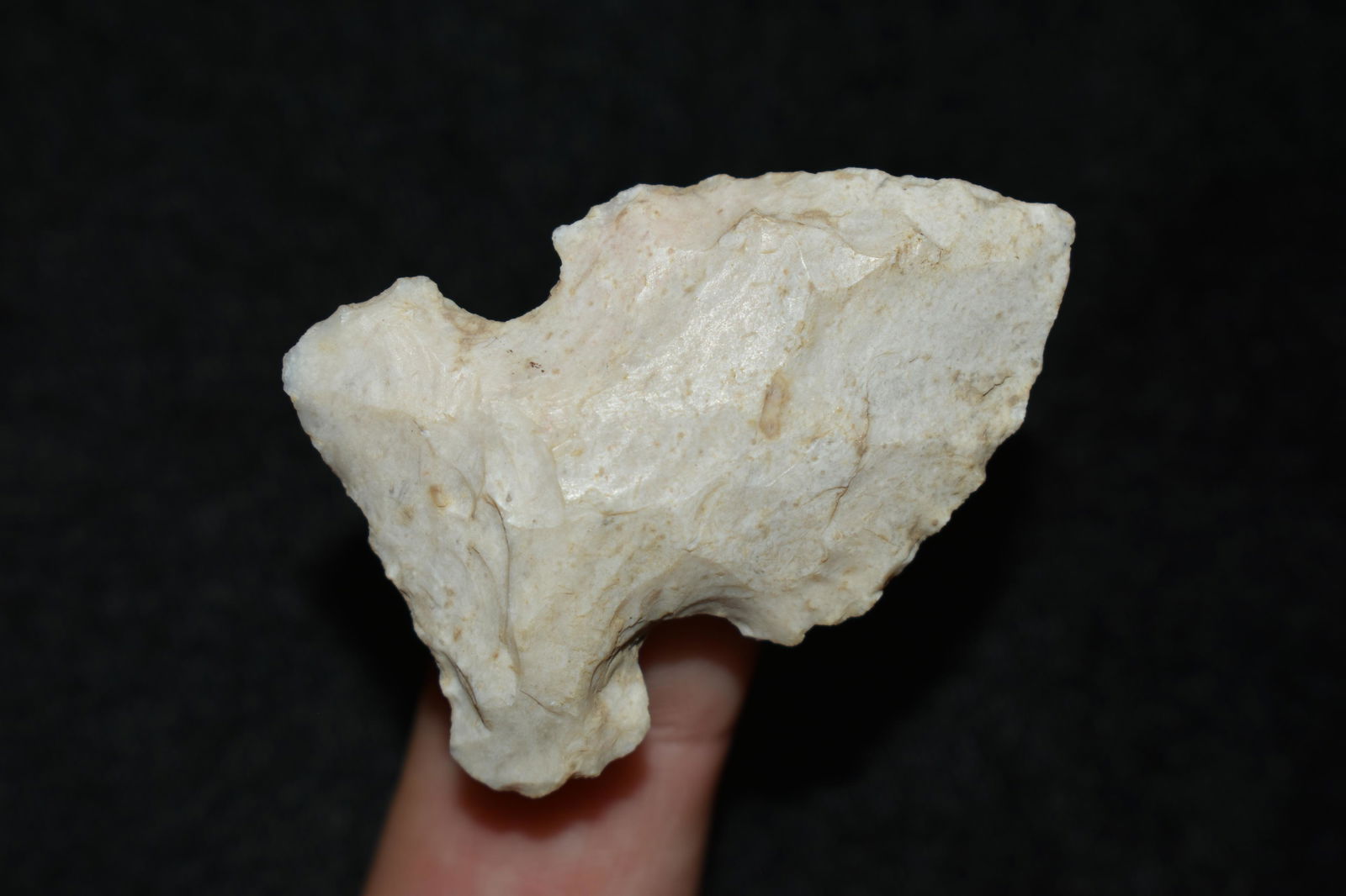 1 5/8" Side Notch, Missouri: 1 5/8" Side Notch, Missouri