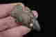 item-99932251=3