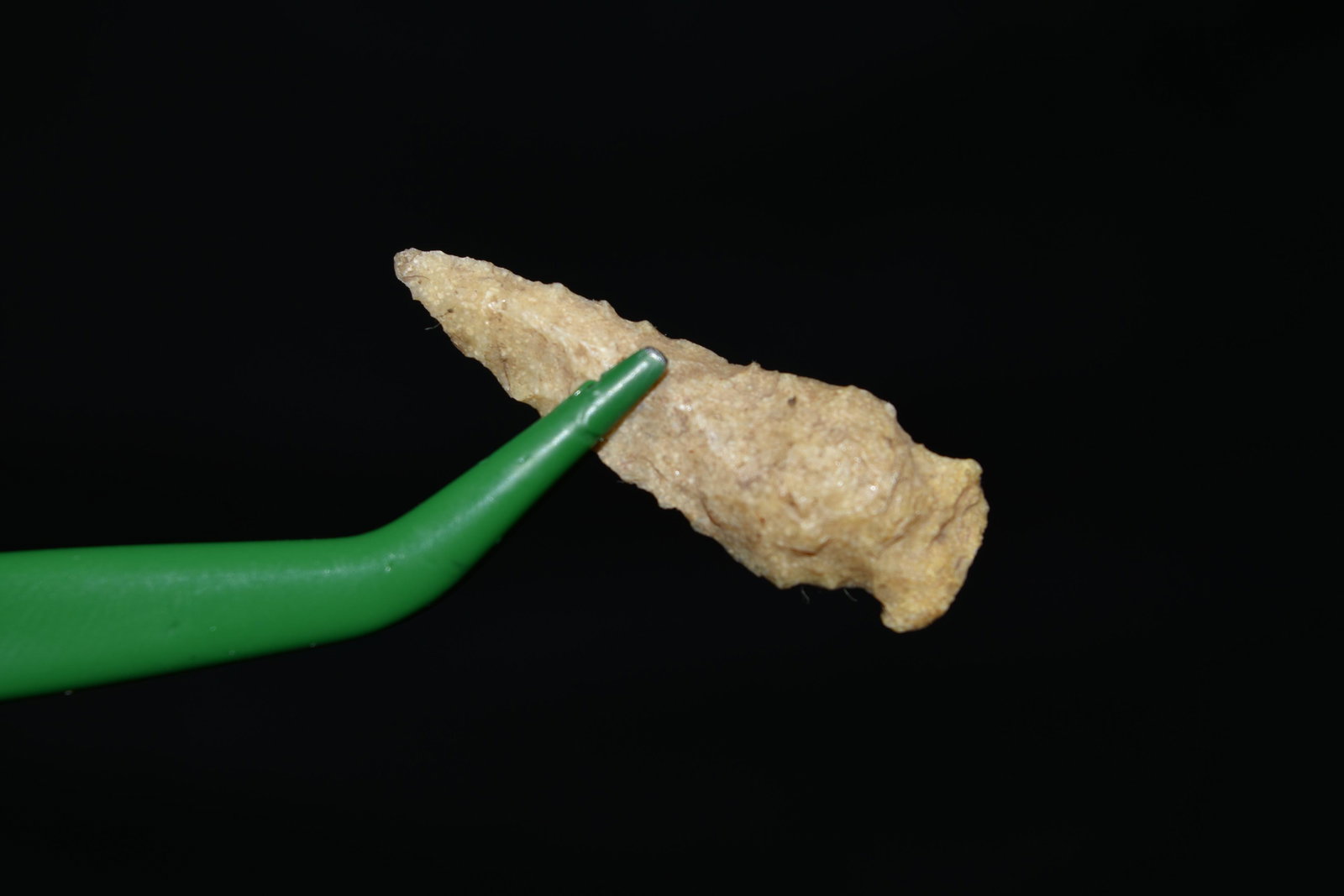 1 1/4" Bird point, Greene Co. IL, Native American (1 of 3)