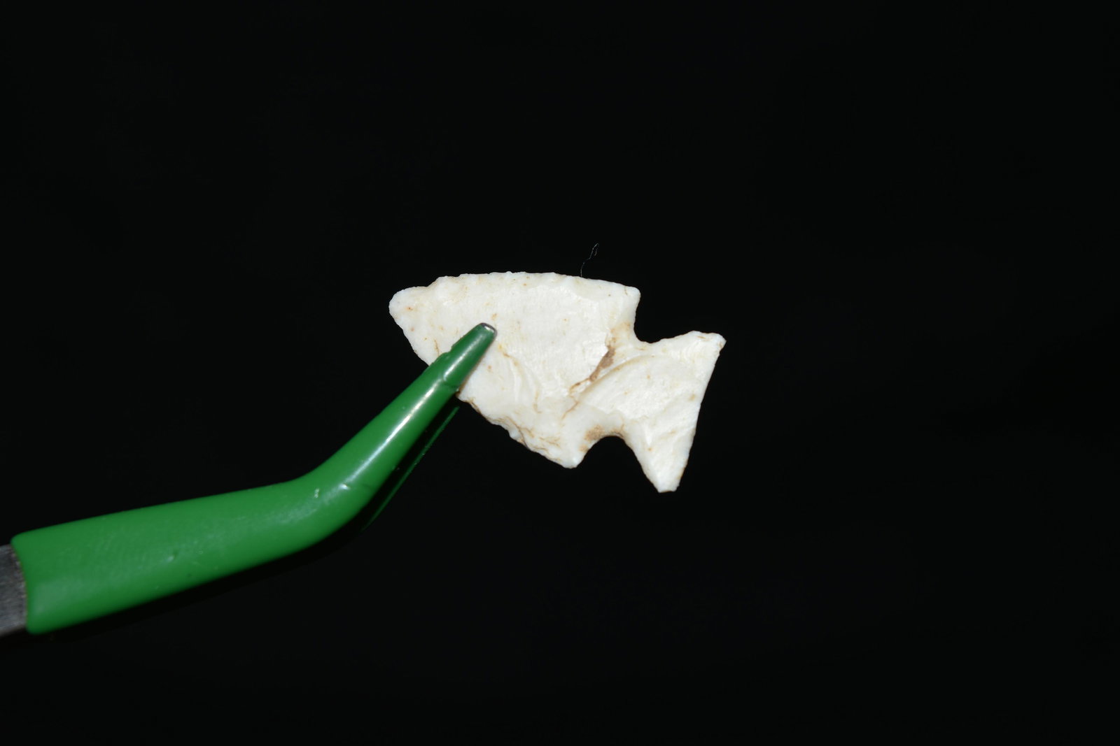 1" Bird point, Greene Co. IL, Native American Artifact (1 of 3)