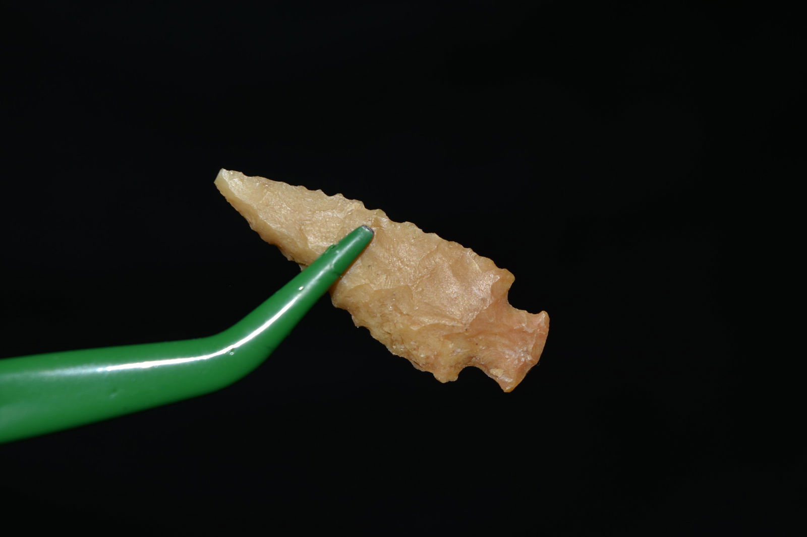 1 3/8" Serrated Bird point, Lee Co. Arkansas, Native (1 of 3)