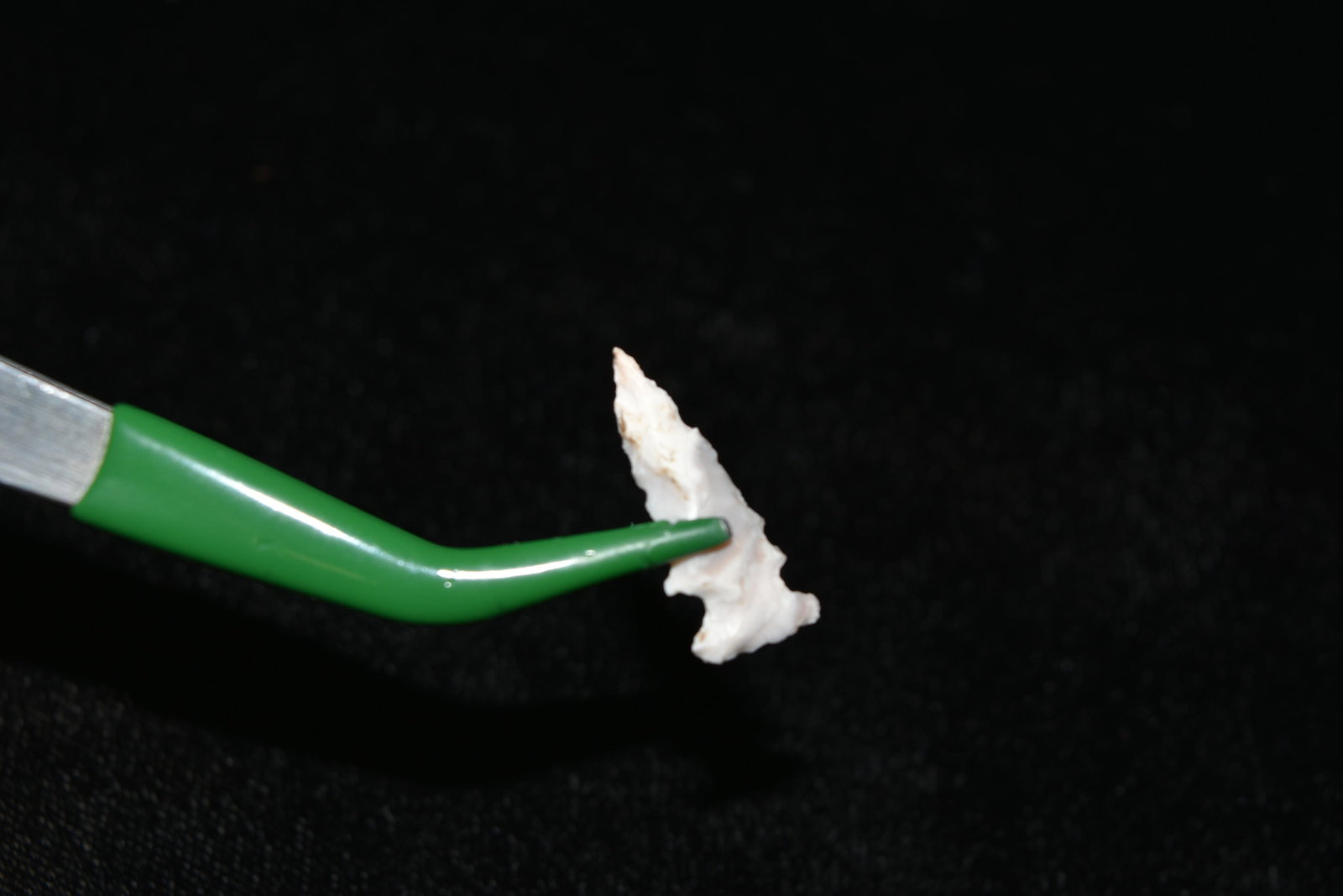7/8" Serrated Bird point, Central Missouri, Native (1 of 3)