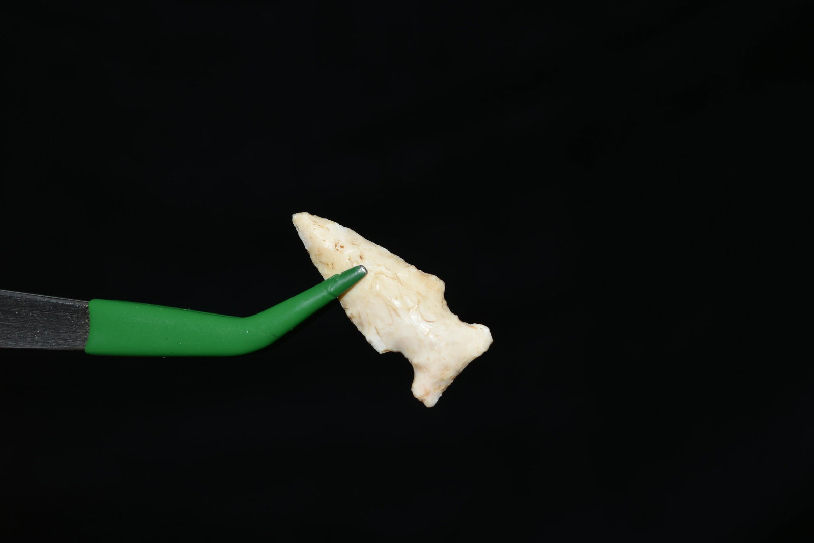 1 1/4" Bird point, Greene Co. IL, Native American (1 of 3)