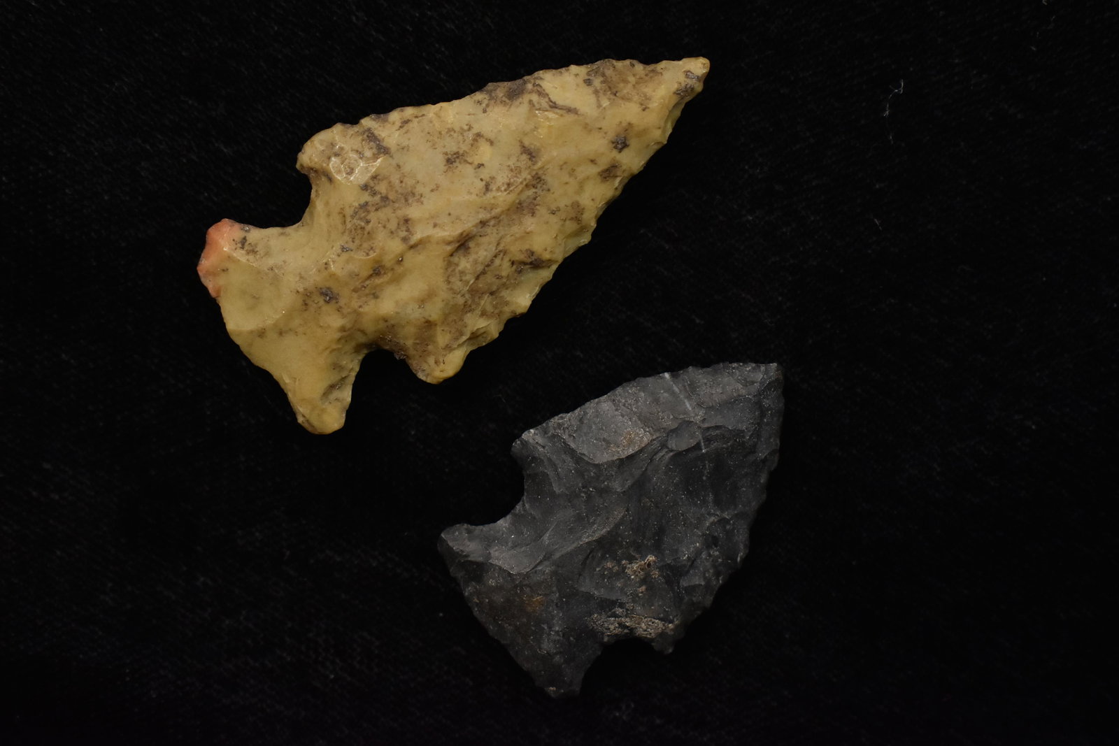 Lot of 2 Archaic Points, Largest 1 3/4" Fox Field, (1 of 12)