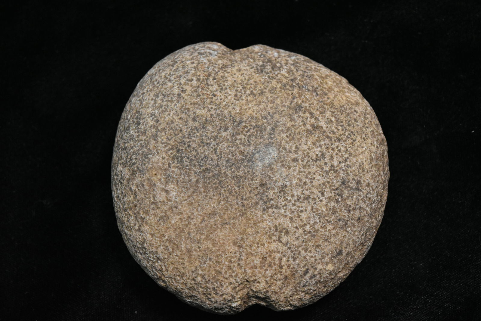 3 1/2" Notched Weight, Native American Artifact (1 of 4)