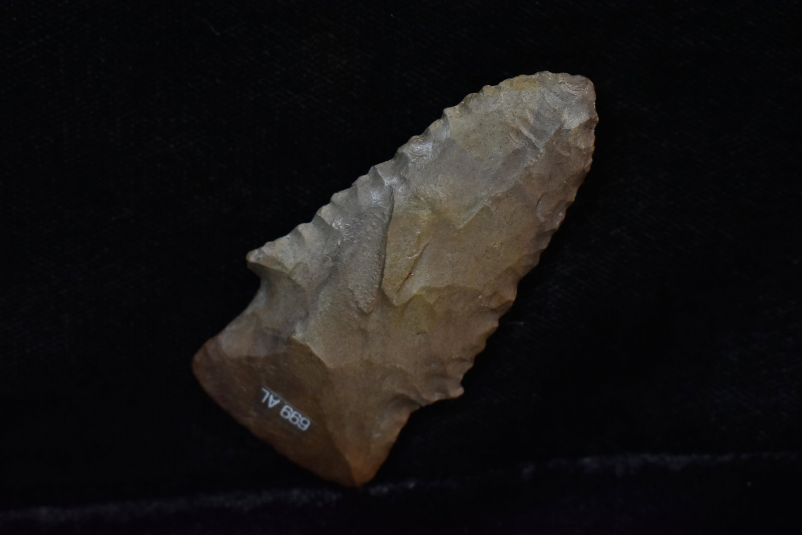 2 1/8" Archaic Serrated Point, Native American (1 of 4)