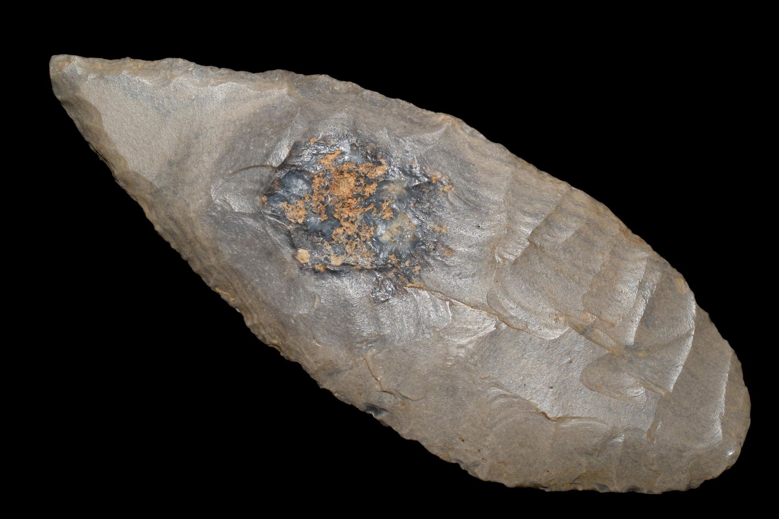 3 7/8" leaf Blade, great bullseye, Found in Kentucky. (1 of 7)