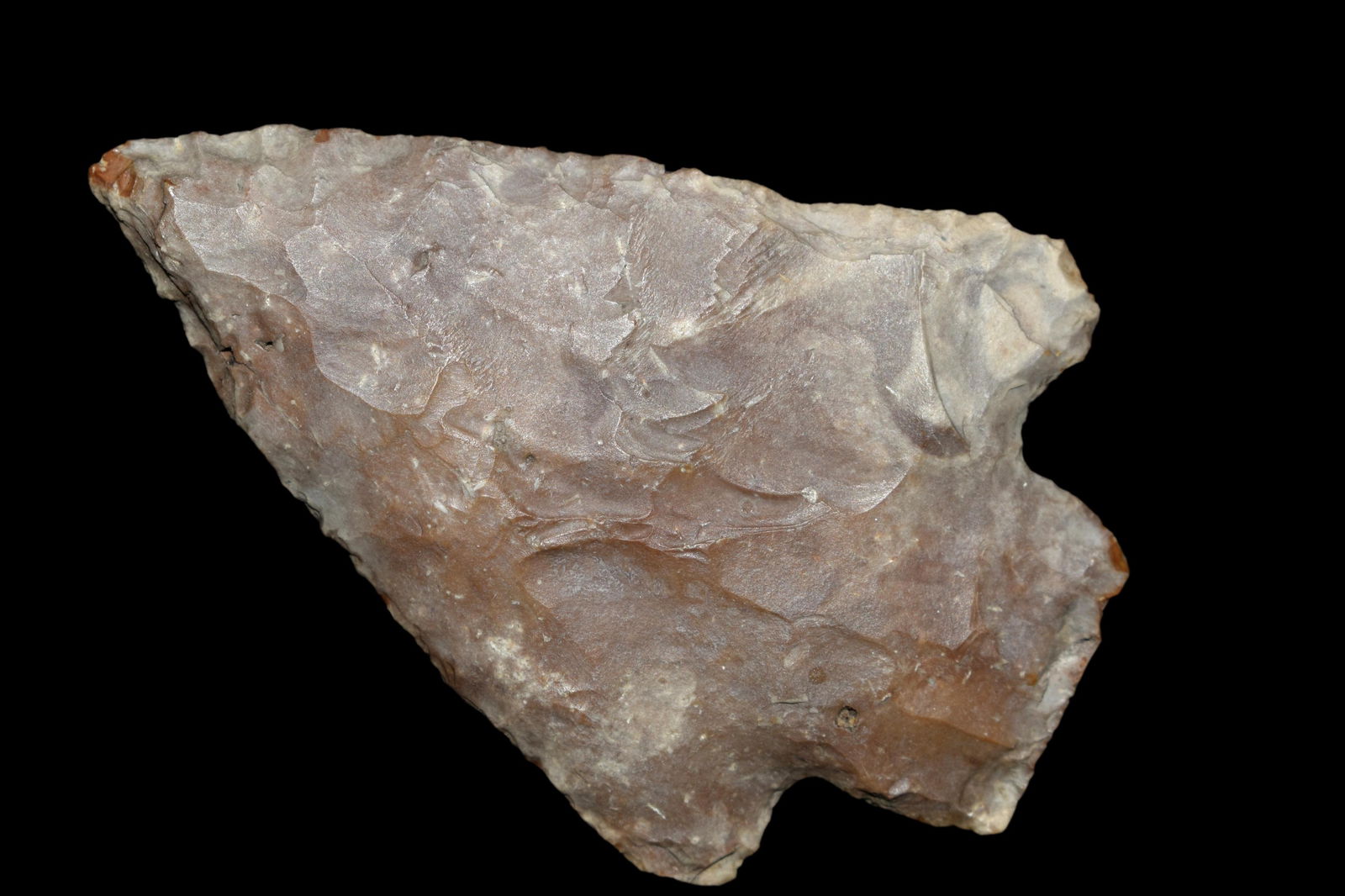 2 3/4" squared Stem base Found in Harrisville Co., (1 of 7)