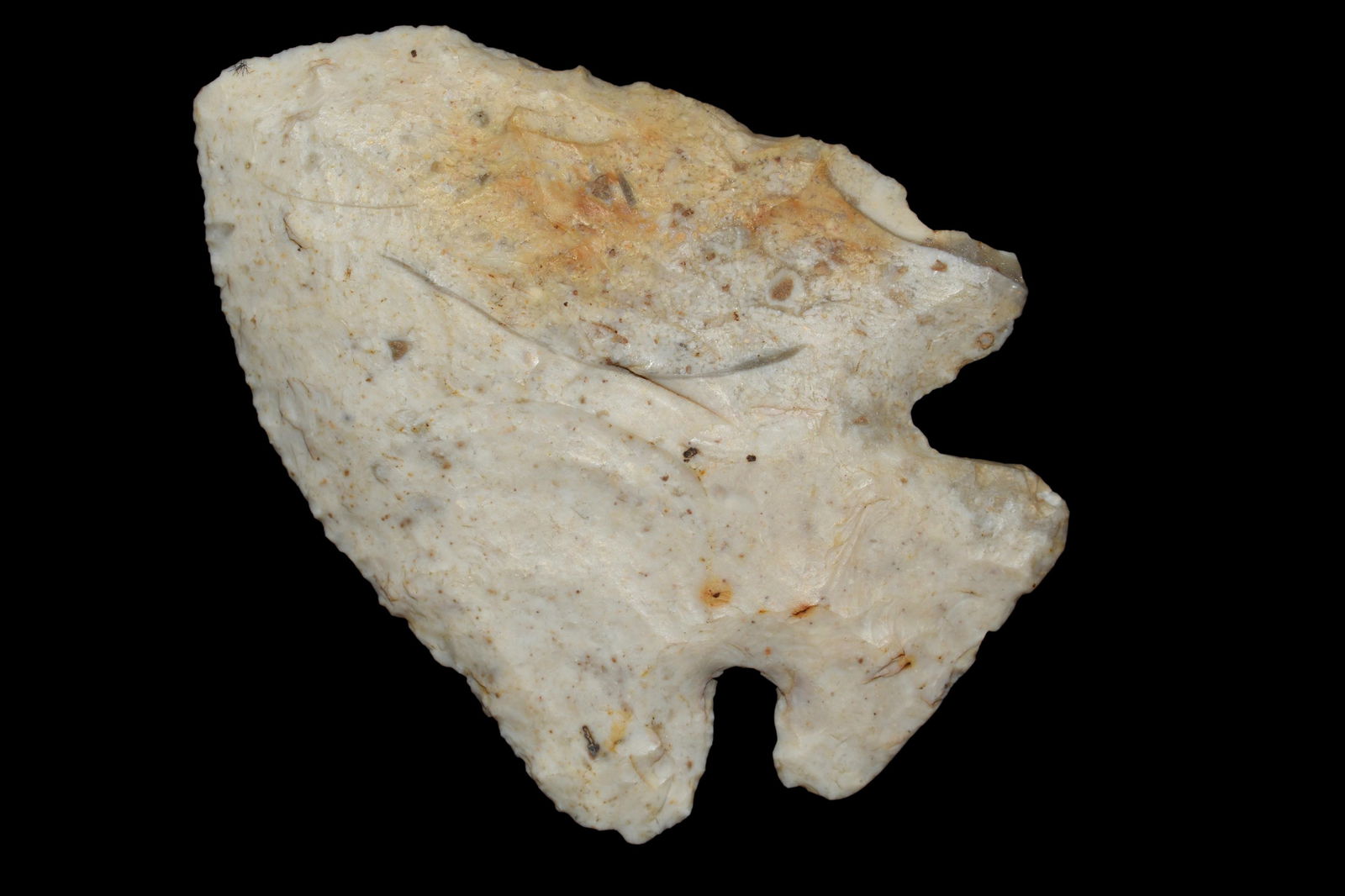 3" Thebes Point Found by TJ Hilgenbrink in Adams Co., (1 of 7)