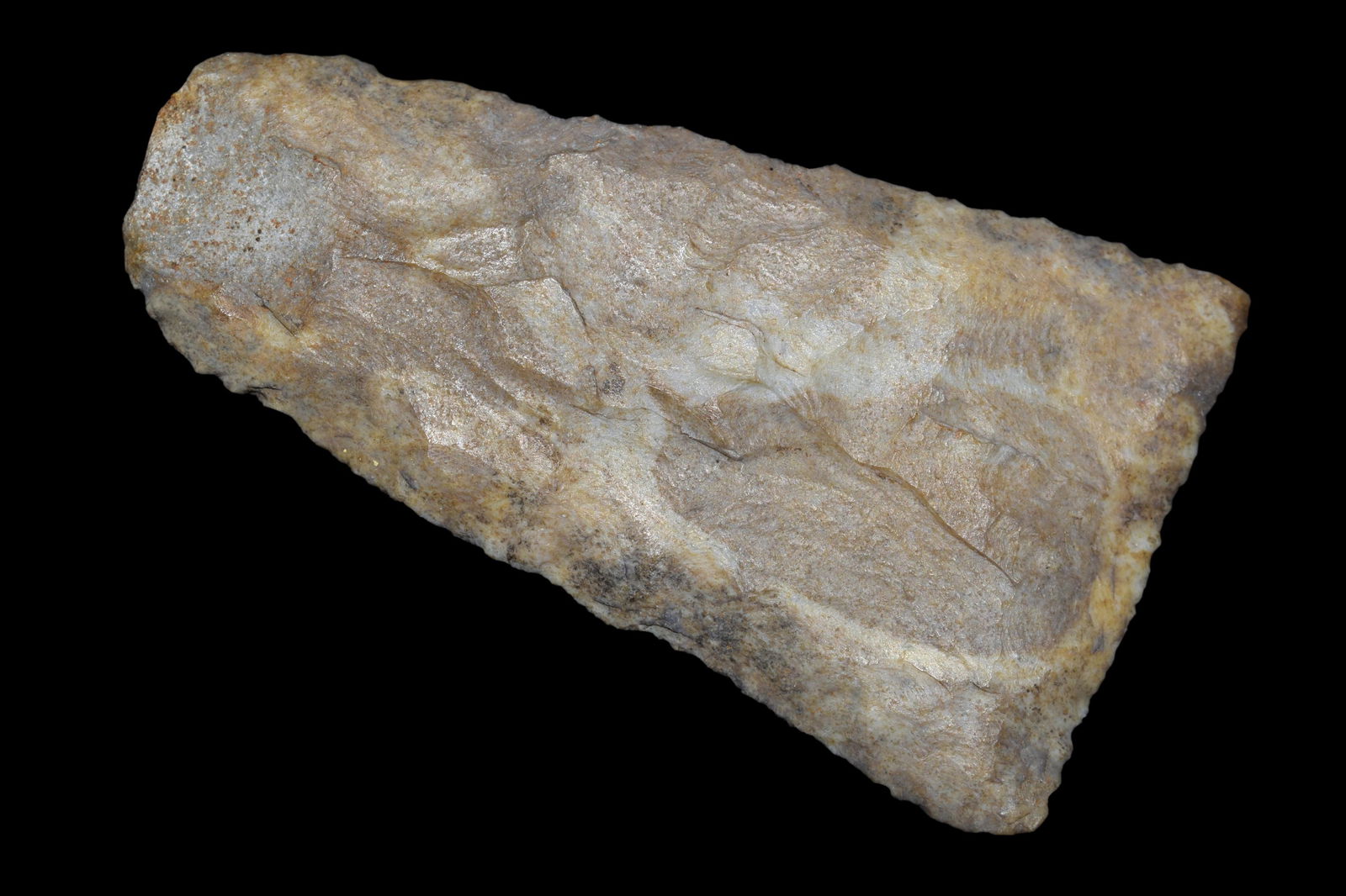 3 5/8" Blade Found in Lima Lake, Adams County IL by Ed (1 of 8)