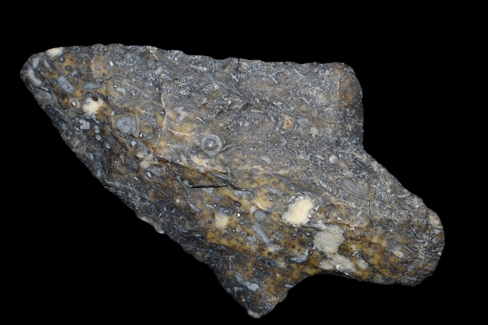 2 5/8" Dickson Point Found in Lima Lake, Adams County (1 of 8)