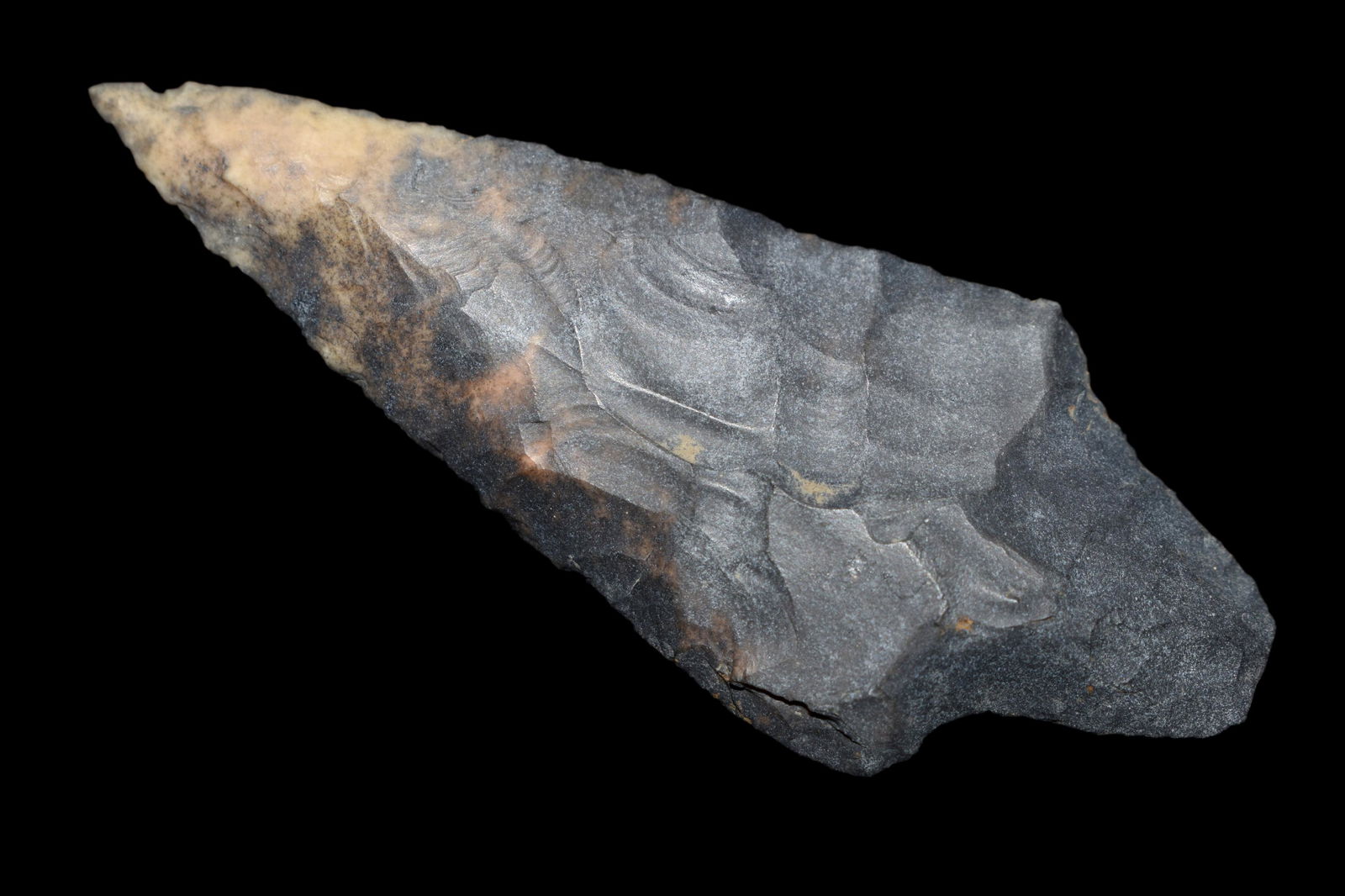 2 3/4" Adena Point Found in Lima Lake, Adams County IL (1 of 7)