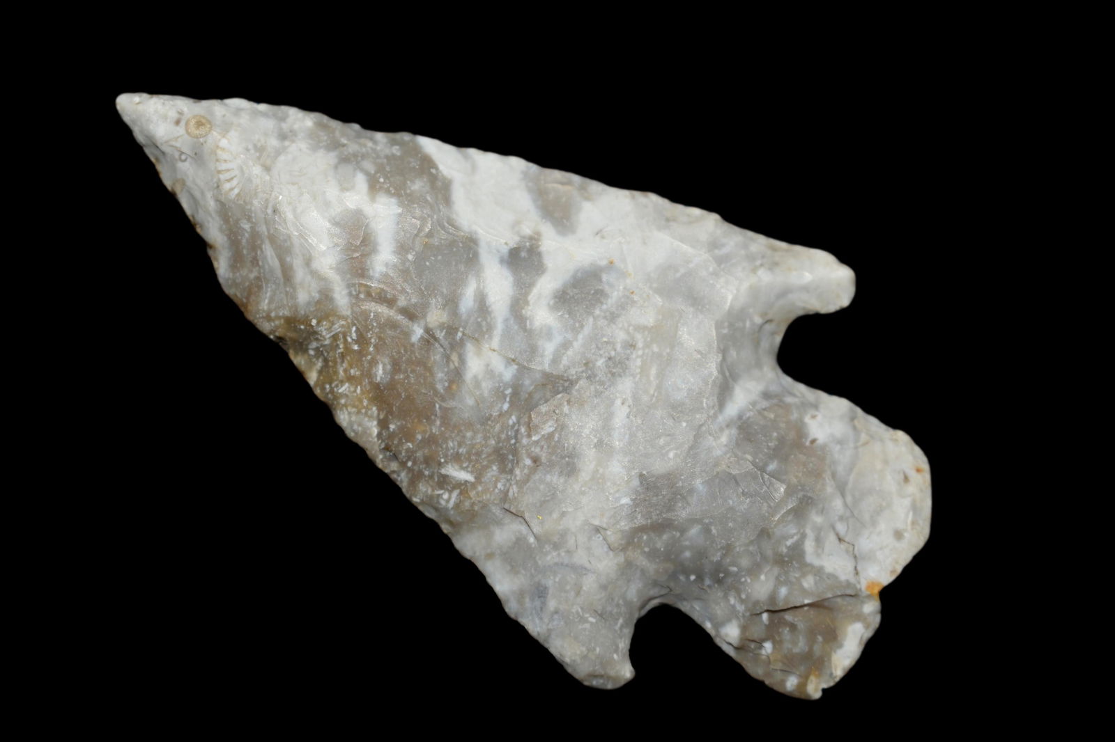 2 1/2" Apple Creek Point Found in Lima Lake, Adams (1 of 8)