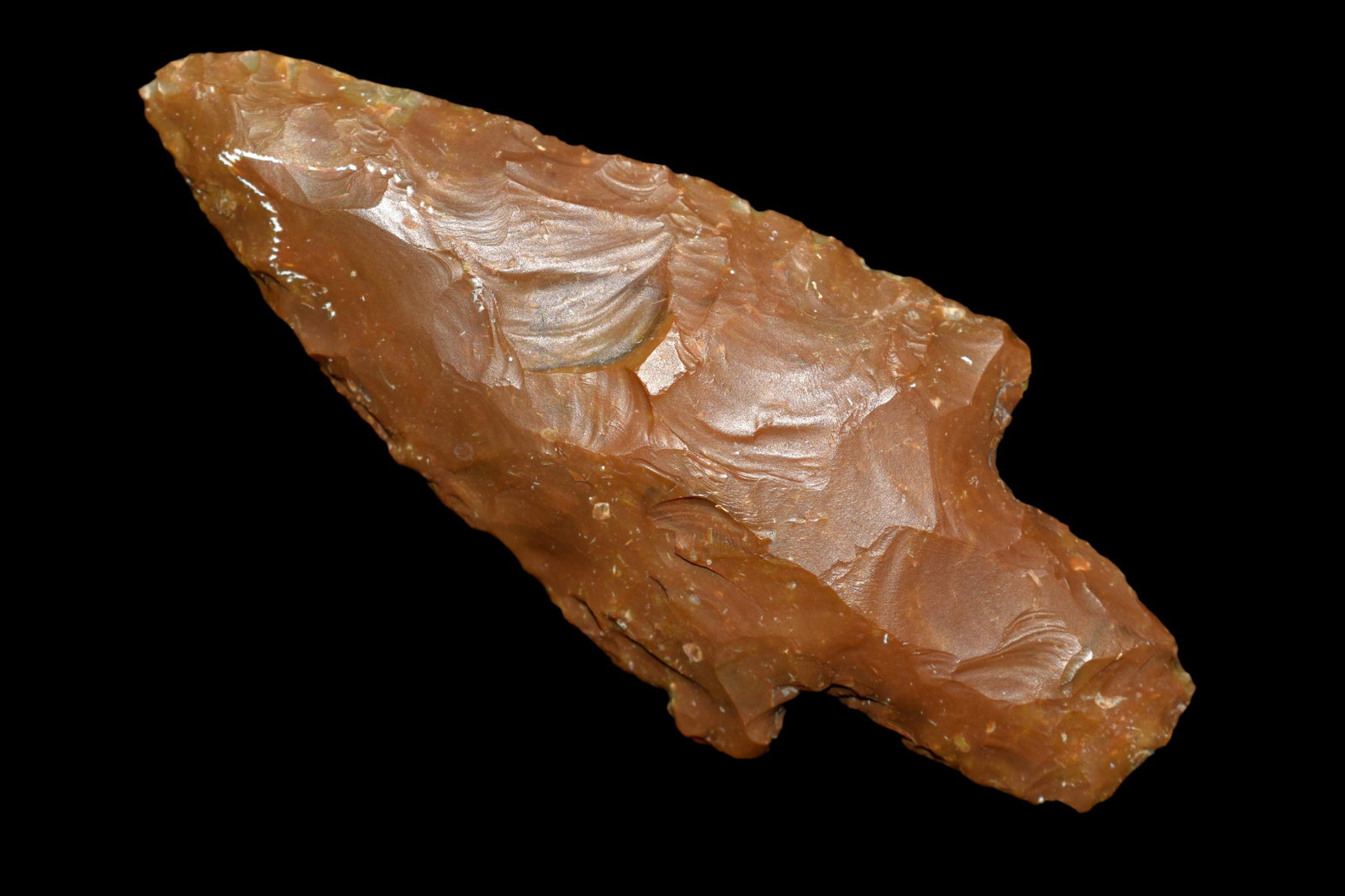 2 3/4" Adena Point Found in Lima Lake, Adams County IL (1 of 8)