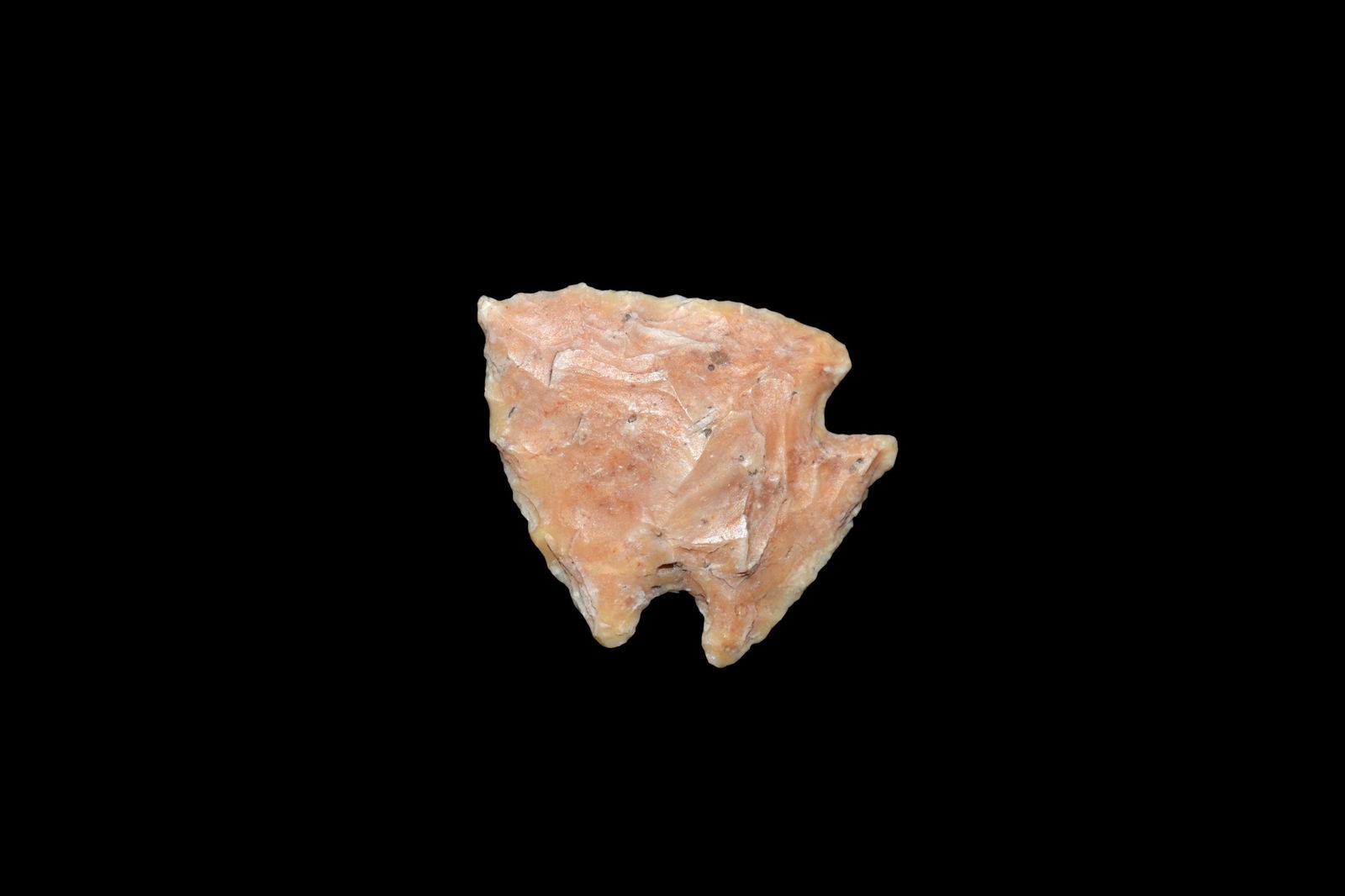 5/8" Bird Point Found in Lima Lake, Adams County IL by (1 of 8)