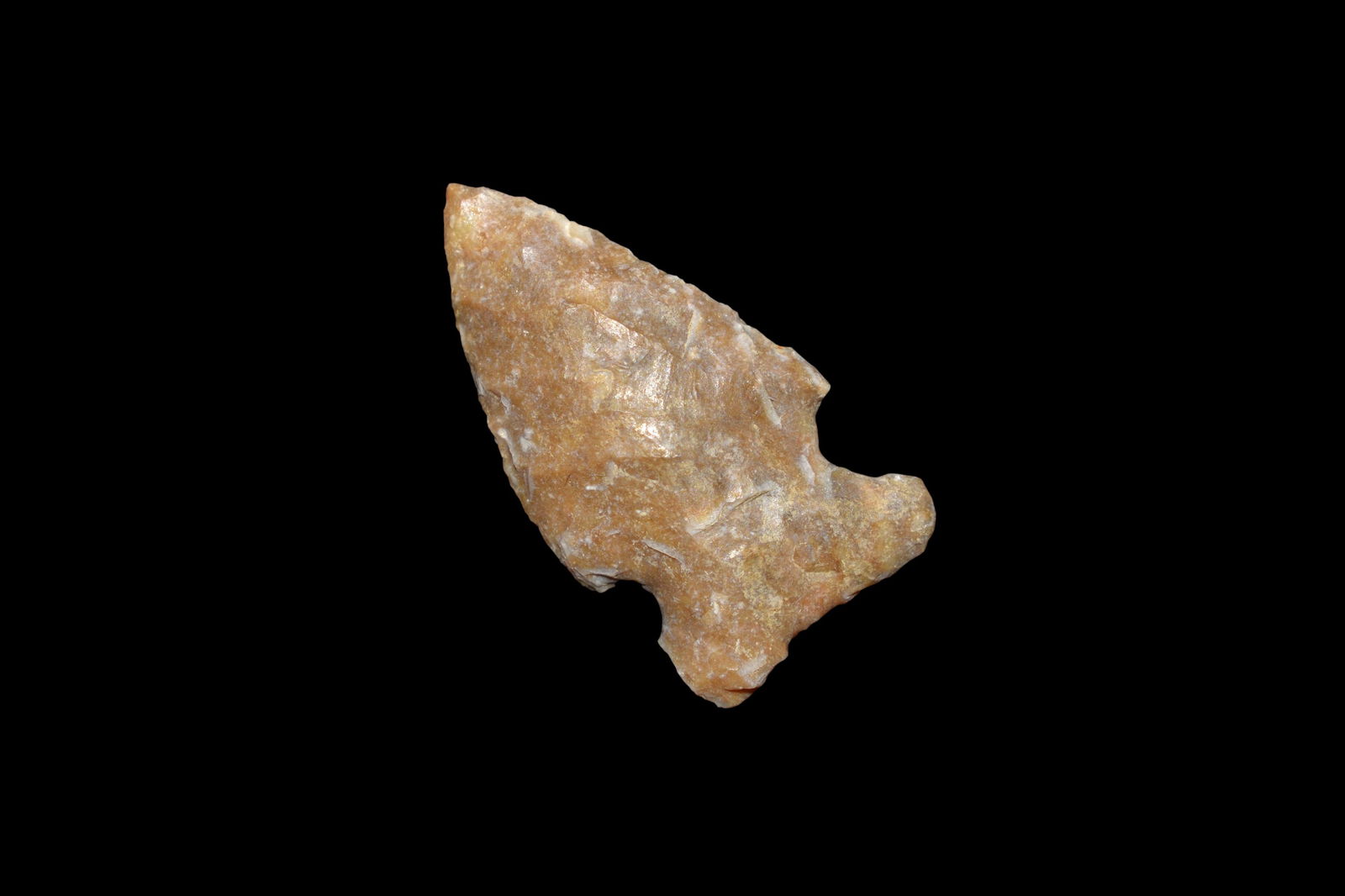 1 1/8" Bird Point Found in Lima Lake, Adams County IL (1 of 4)