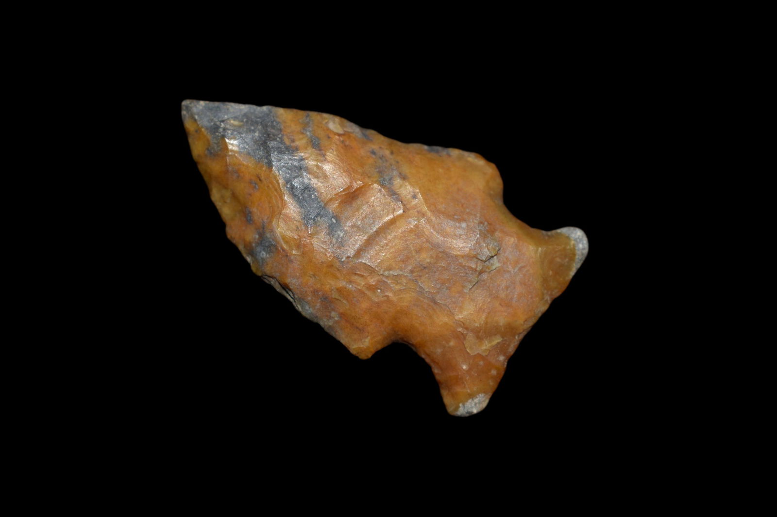 1 3/8" Bird Point Found in Lima Lake, Adams County IL (1 of 6)