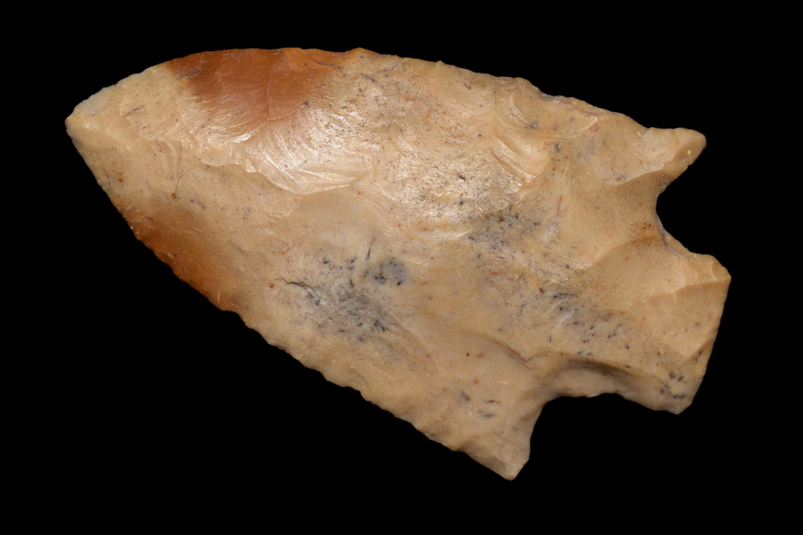 3 1/8" Melville Point Found in Central Missouri. Native (1 of 7)