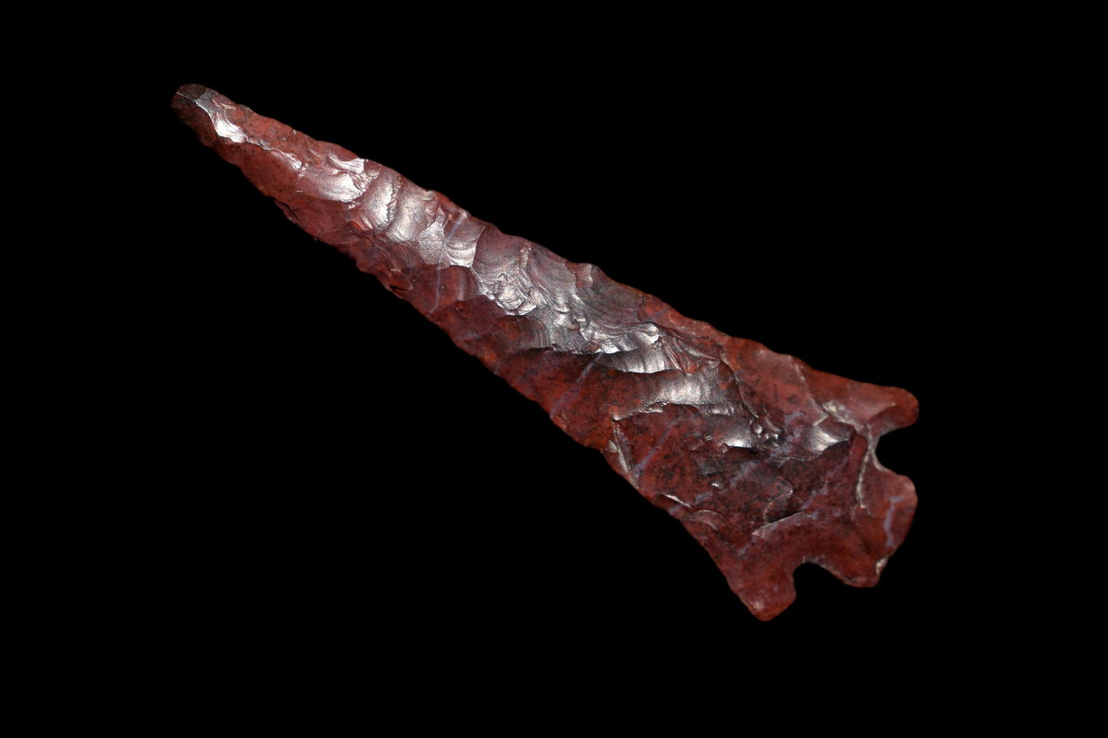 1 5/16" Columbian plateau, Davis COA and Museum of (1 of 8)