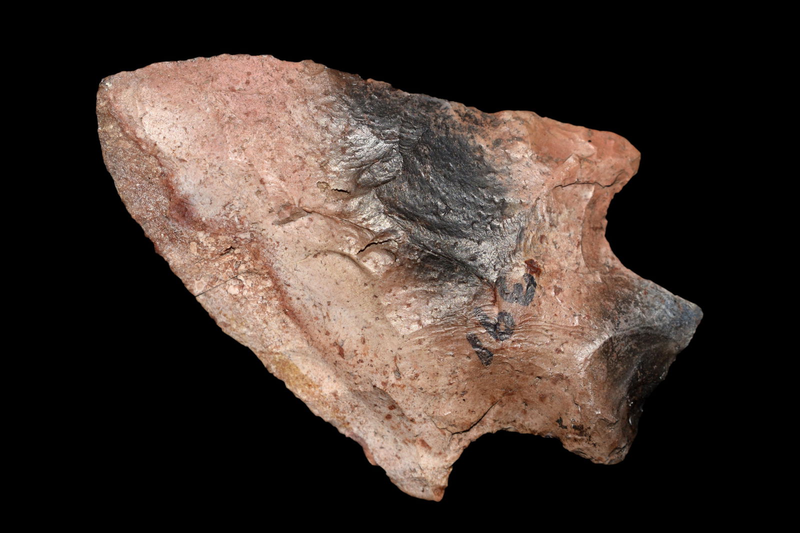 2 1/2" Squared Stem Point Found in Florida. Native (1 of 7)